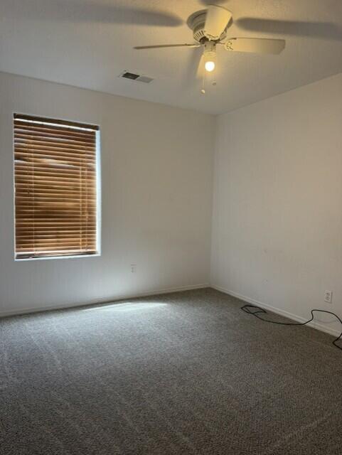 Photo 7 — 809 Sean Avenue