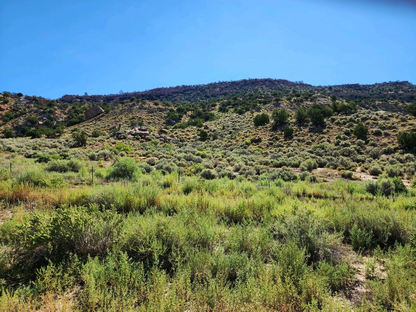 Photo 6 — 60 ac on Navajo Route 7140