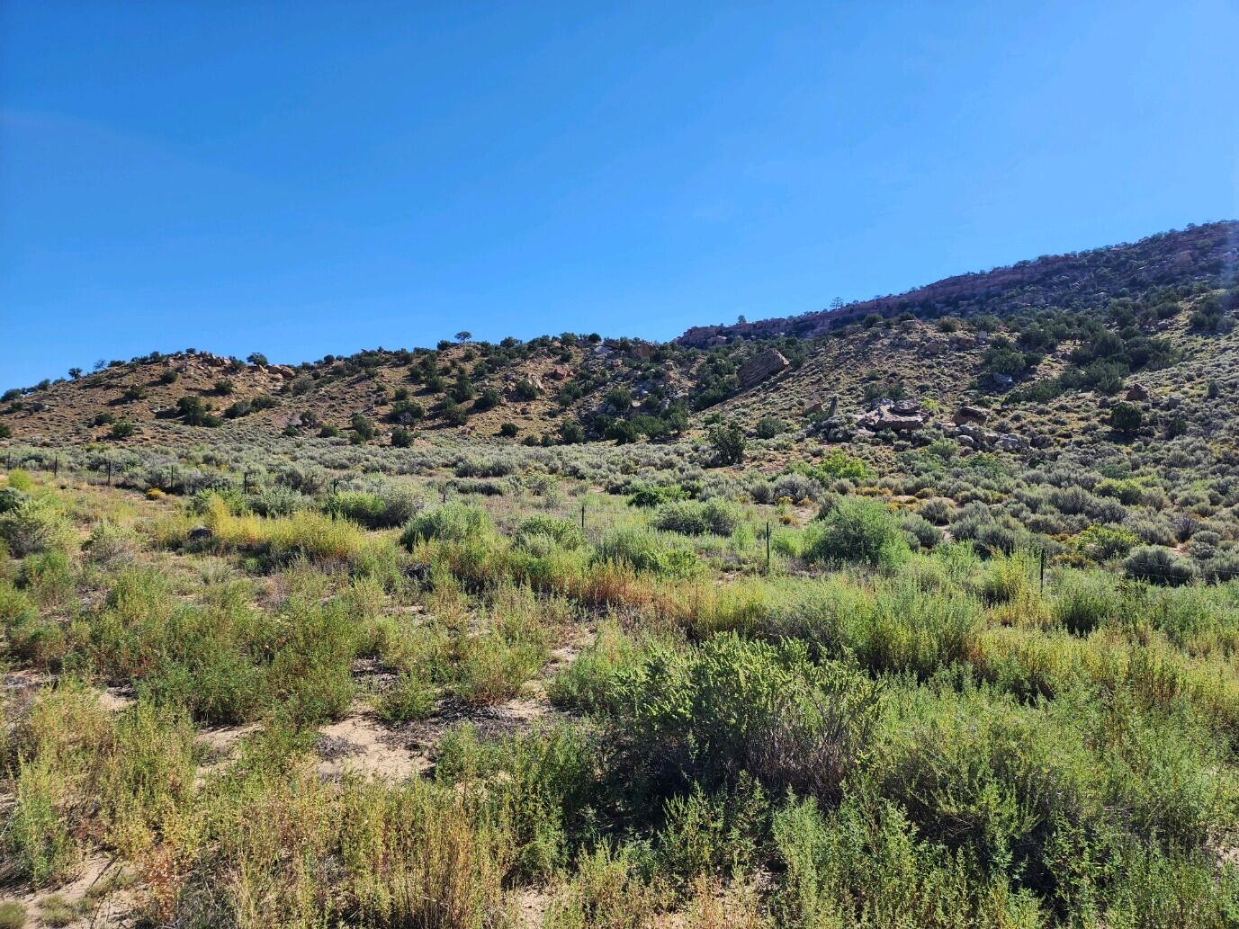 Photo 5 — 60 ac on Navajo Route 7140
