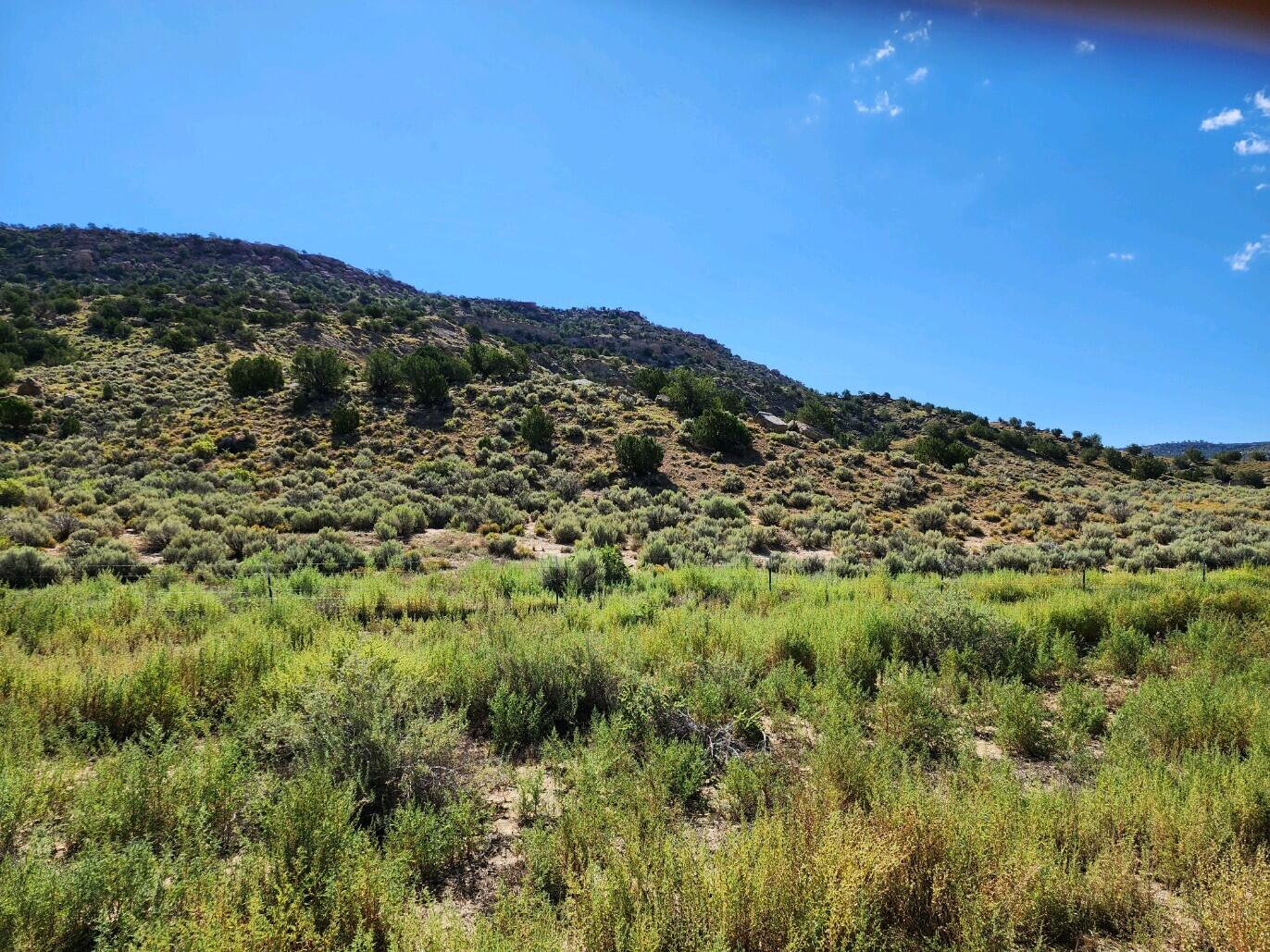 Photo 4 — 60 ac on Navajo Route 7140