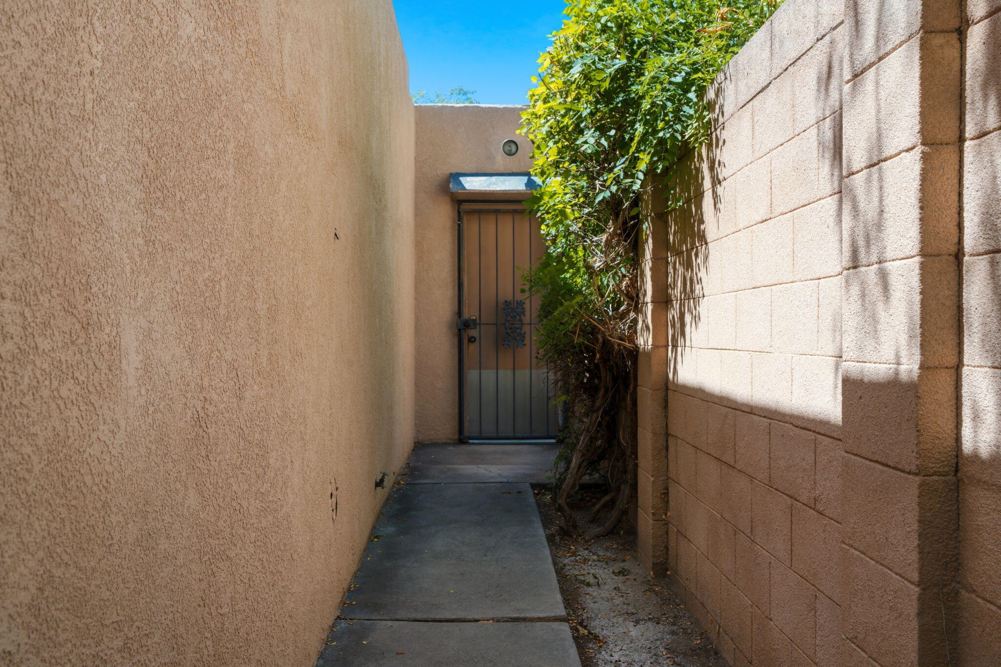 Photo 6 — 7612 Vista Cedro Court NE