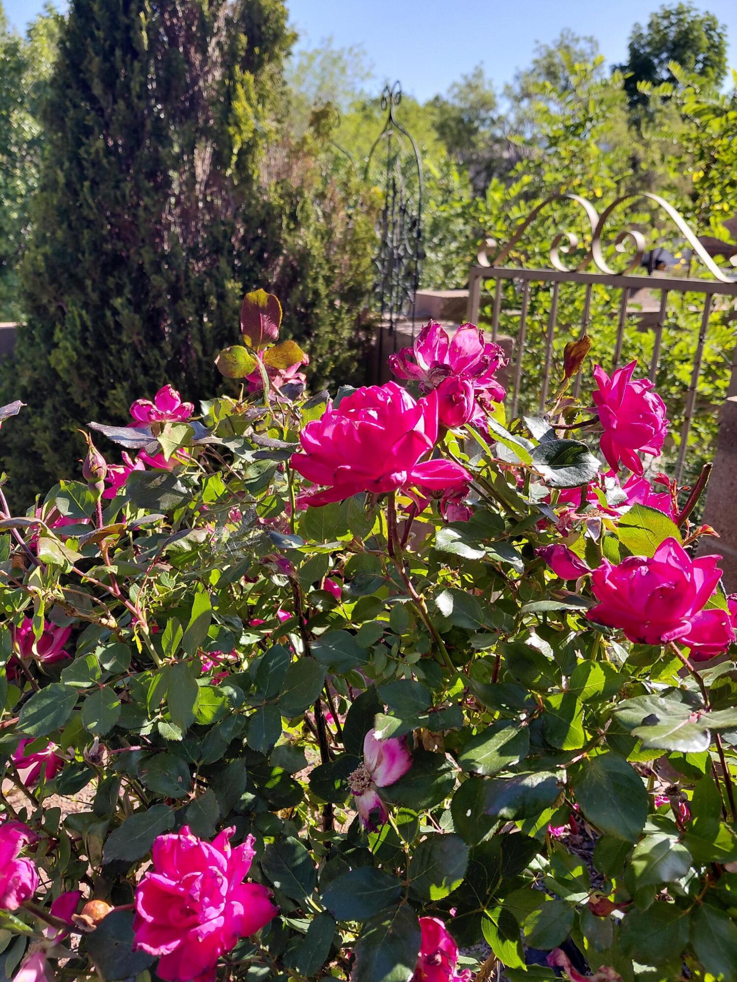 Photo 4 — 1201 Ruffian Court SE