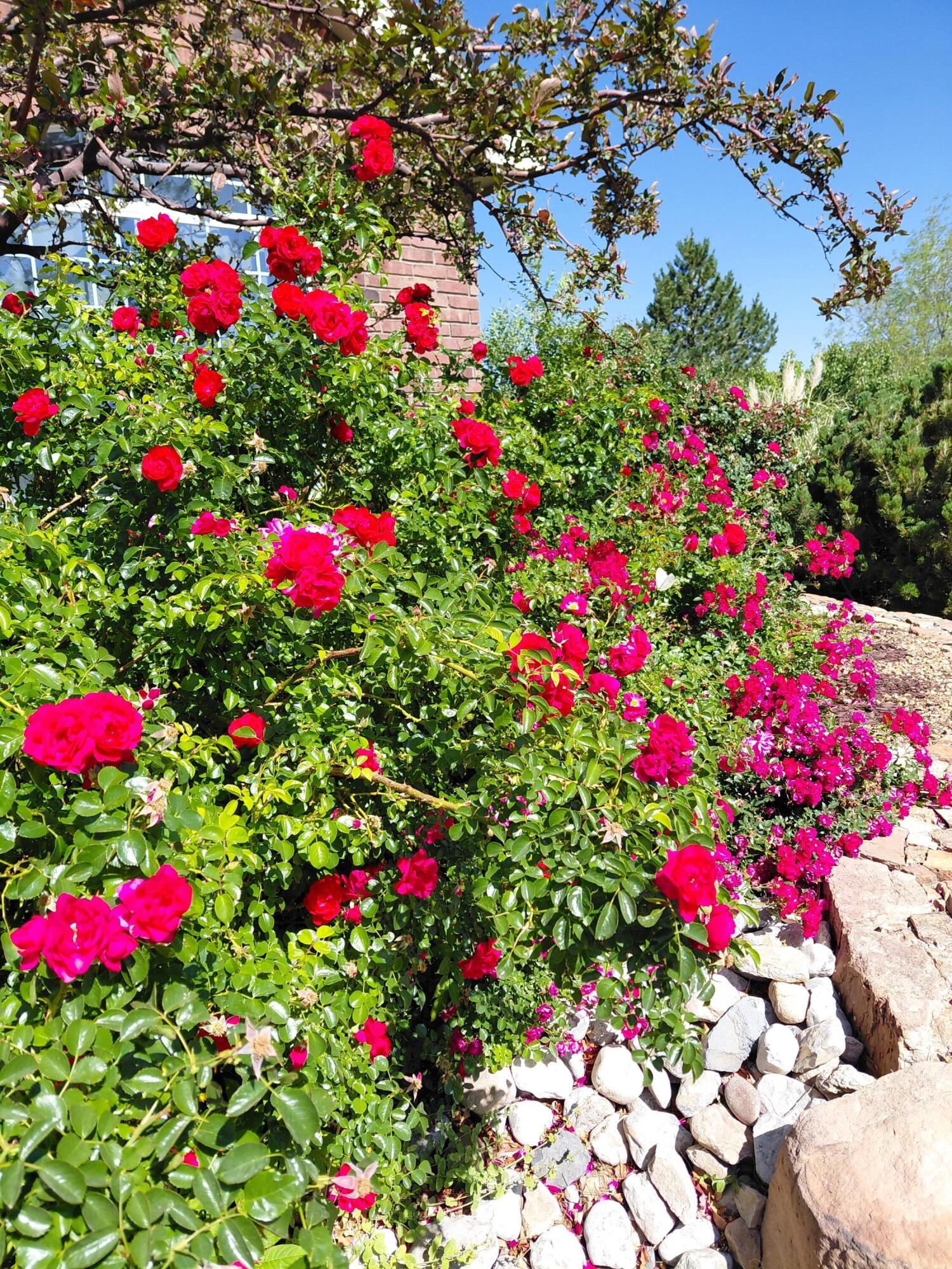 Photo 7 — 1201 Ruffian Court SE