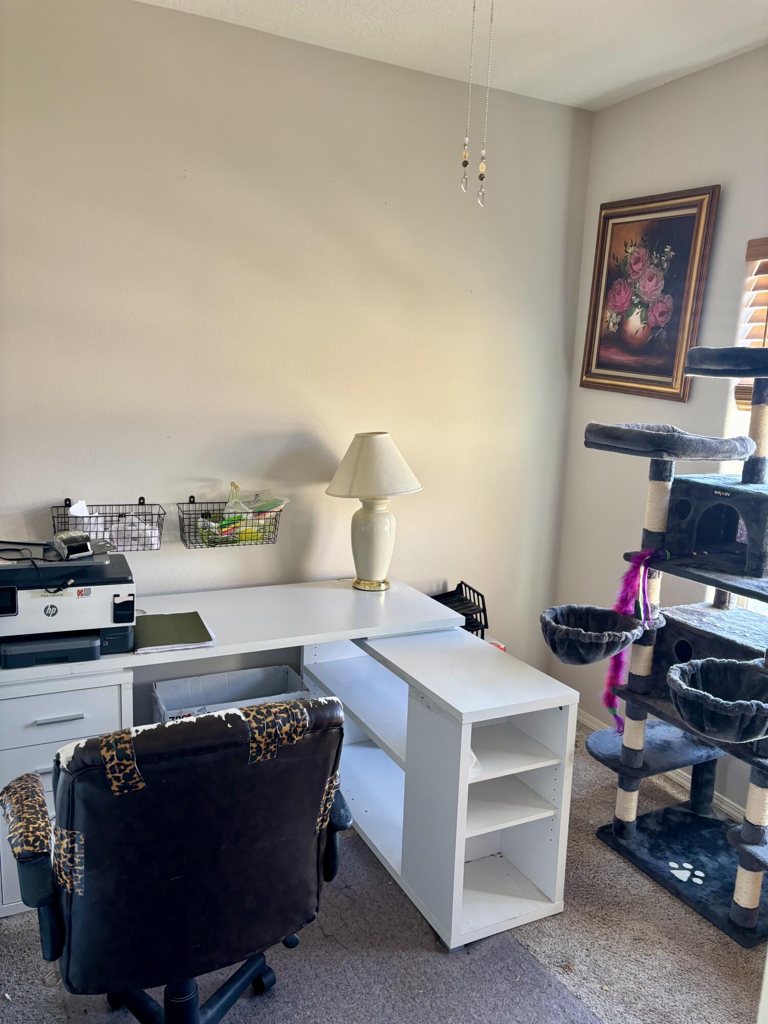 Photo 4 — 308 Sunrise Bluffs Drive