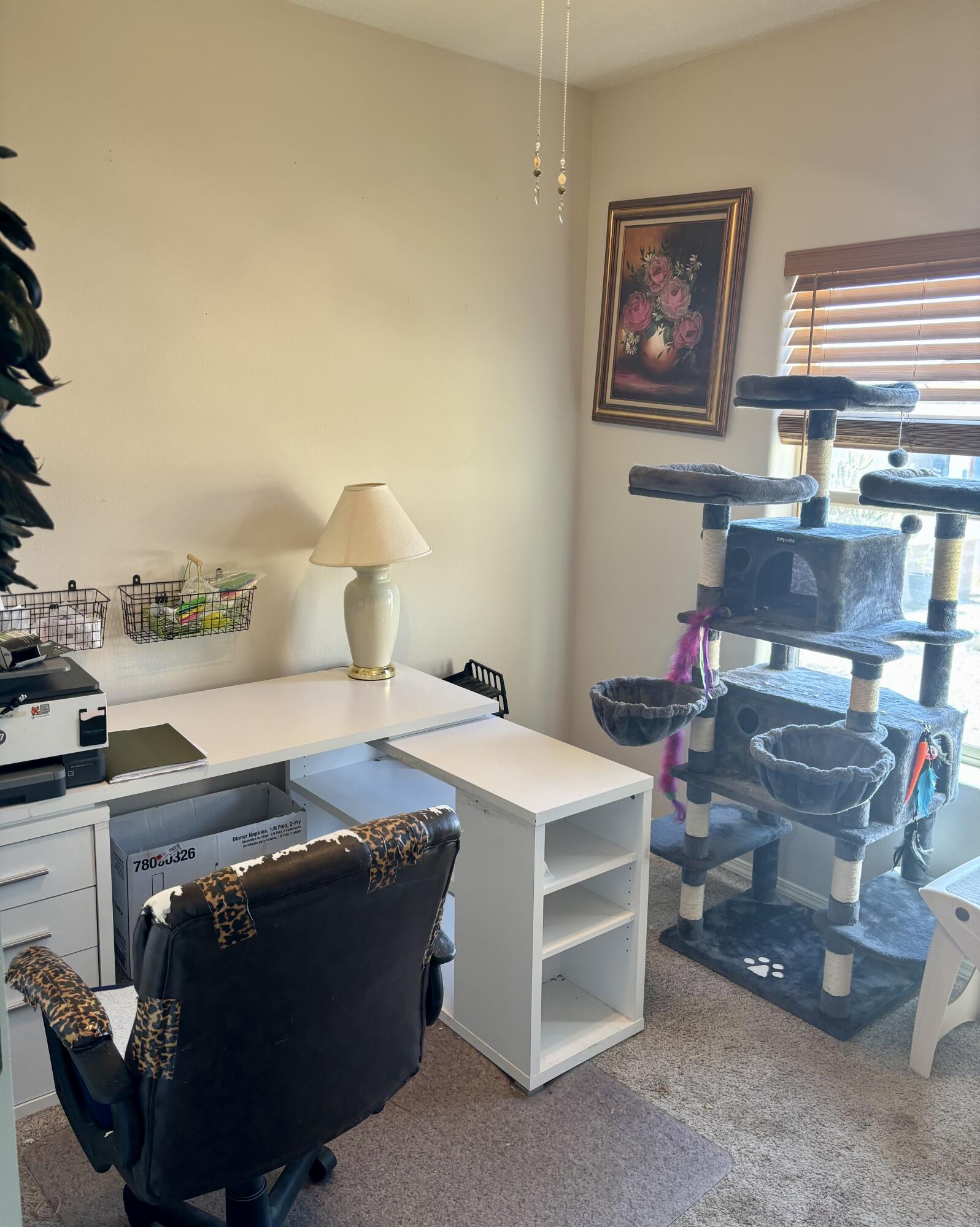 Photo 5 — 308 Sunrise Bluffs Drive