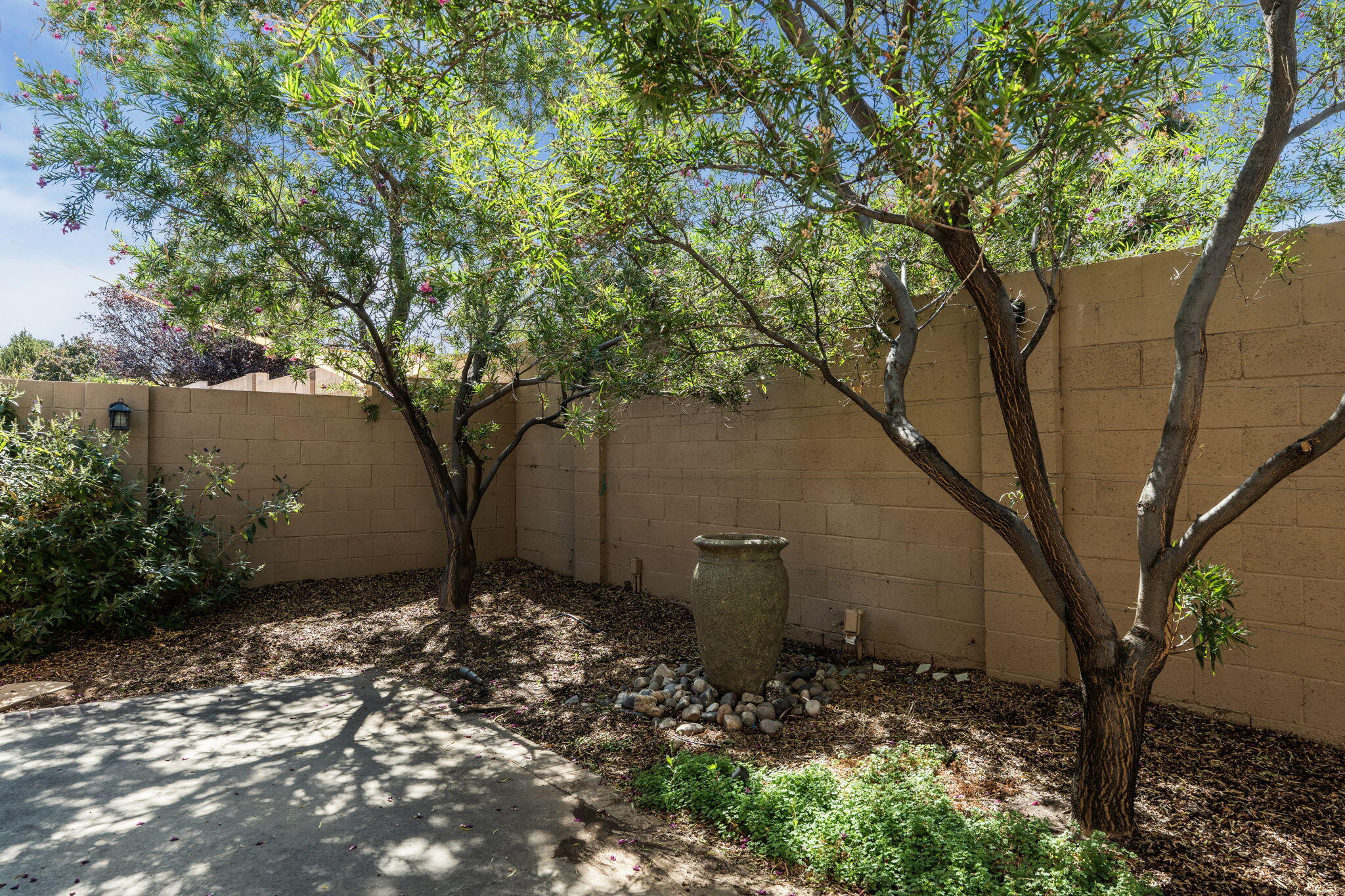 Photo 5 — 6612 Ladrillo Place NE