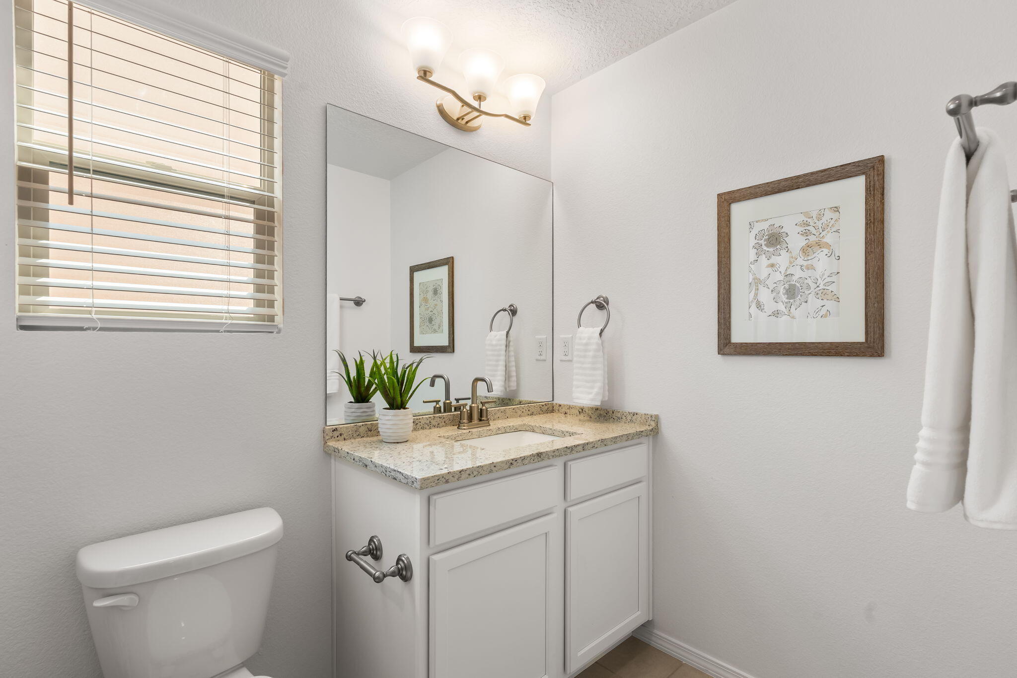 Photo 13 — 8932 Mountain Ash Avenue SW