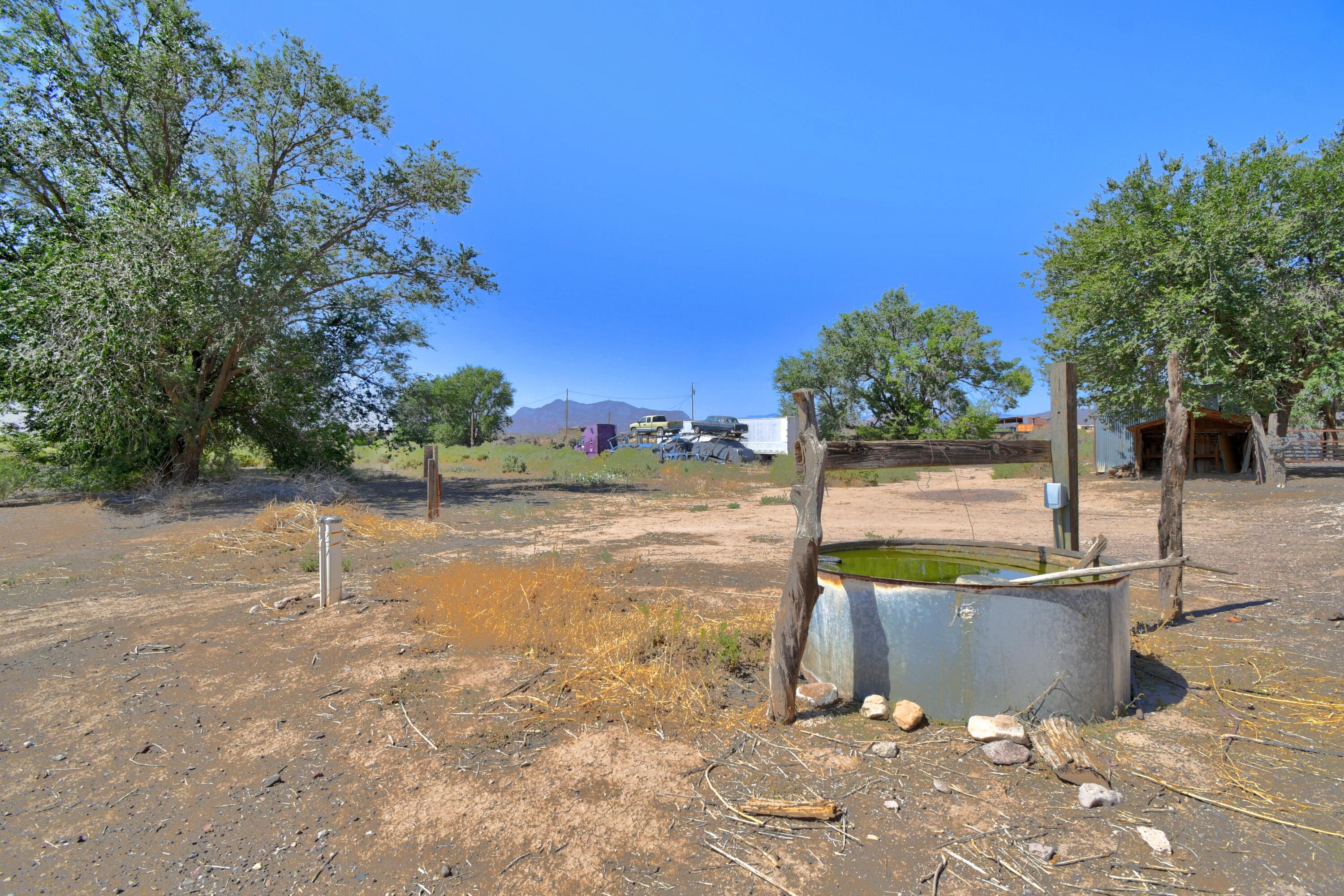 Photo 11 — 82 Marigold Avenue