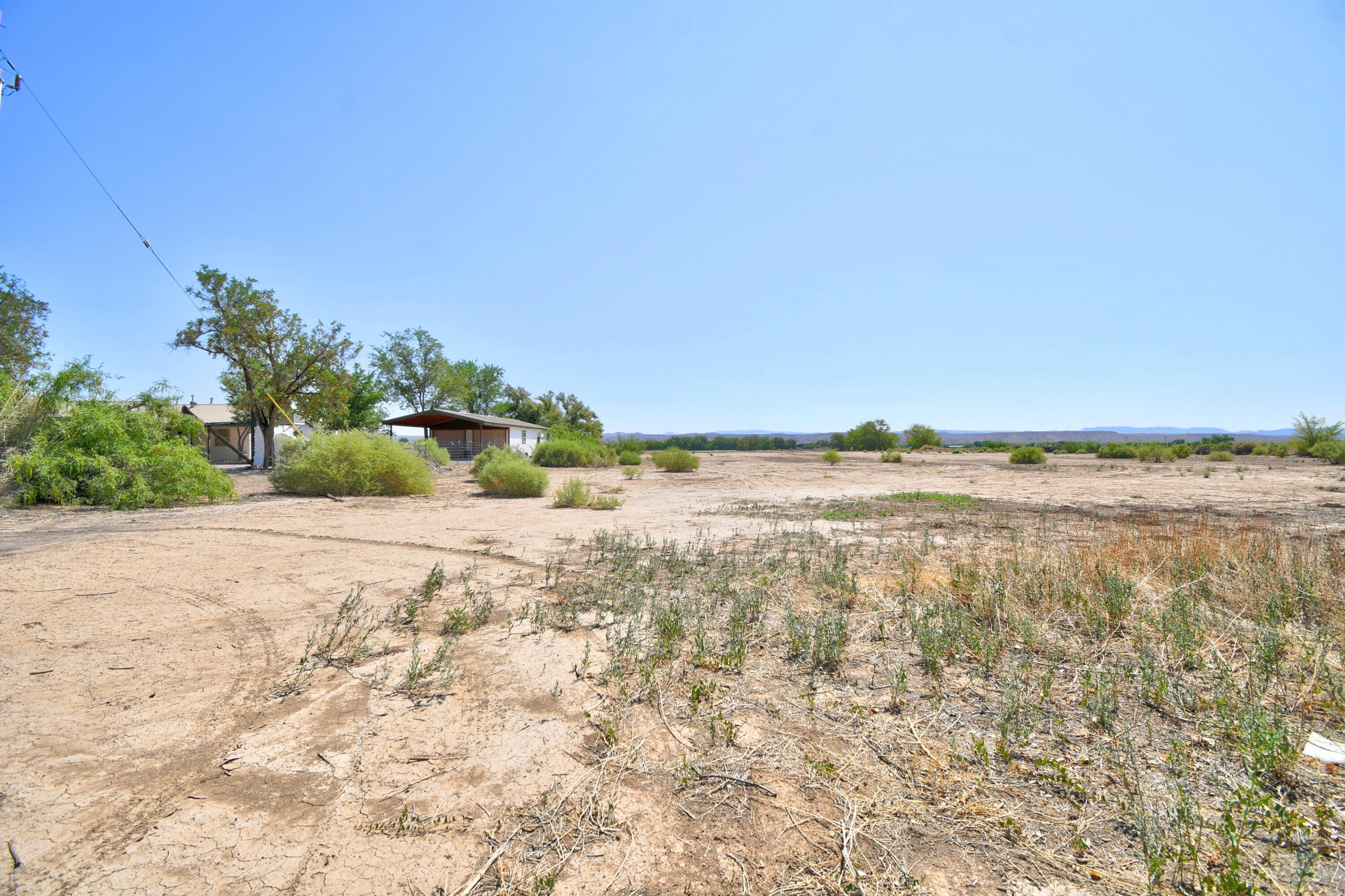 Photo 12 — 82 Marigold Avenue