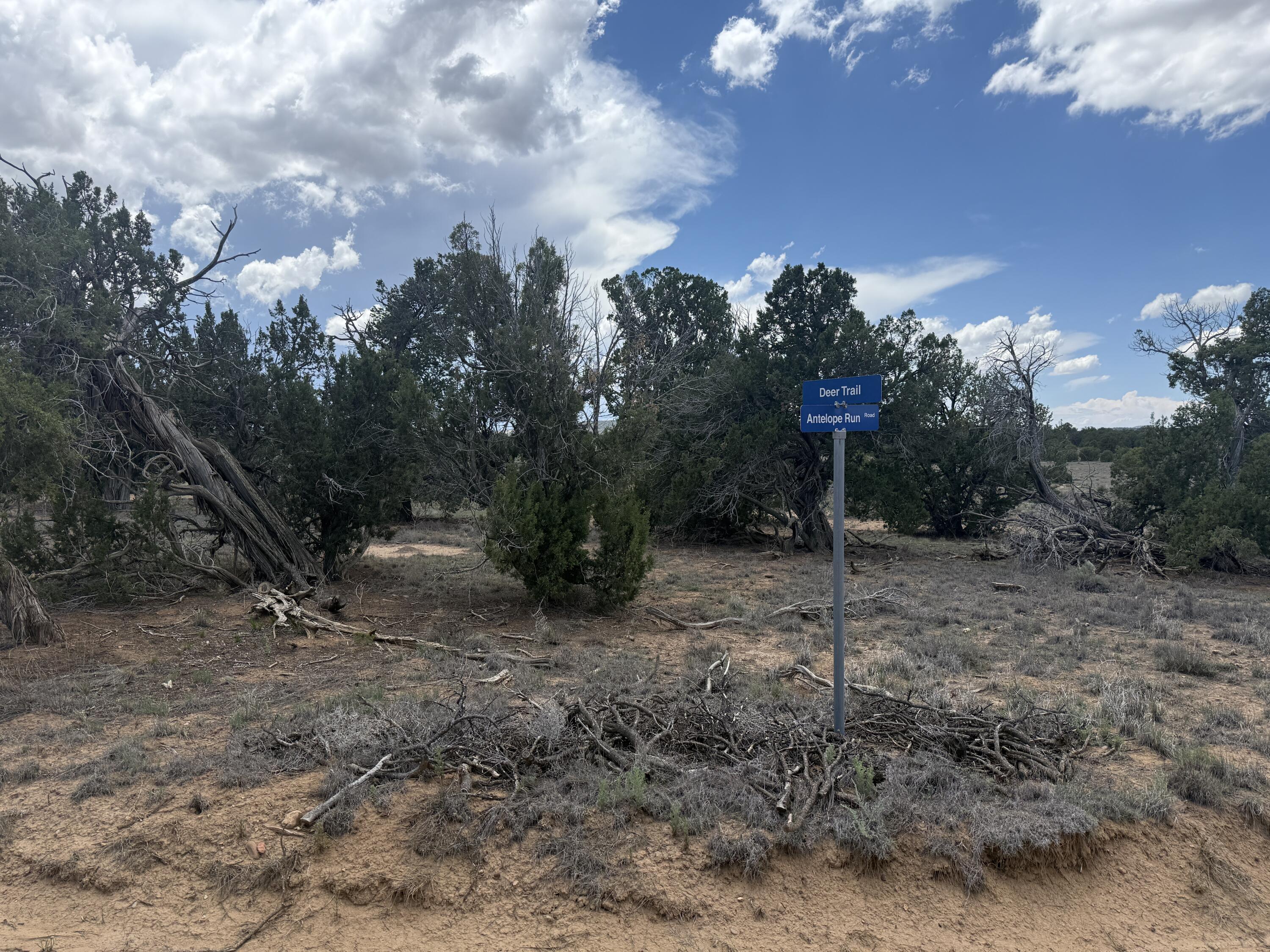 Photo 15 — LOT: 129 ANTELOPE RUN Road
