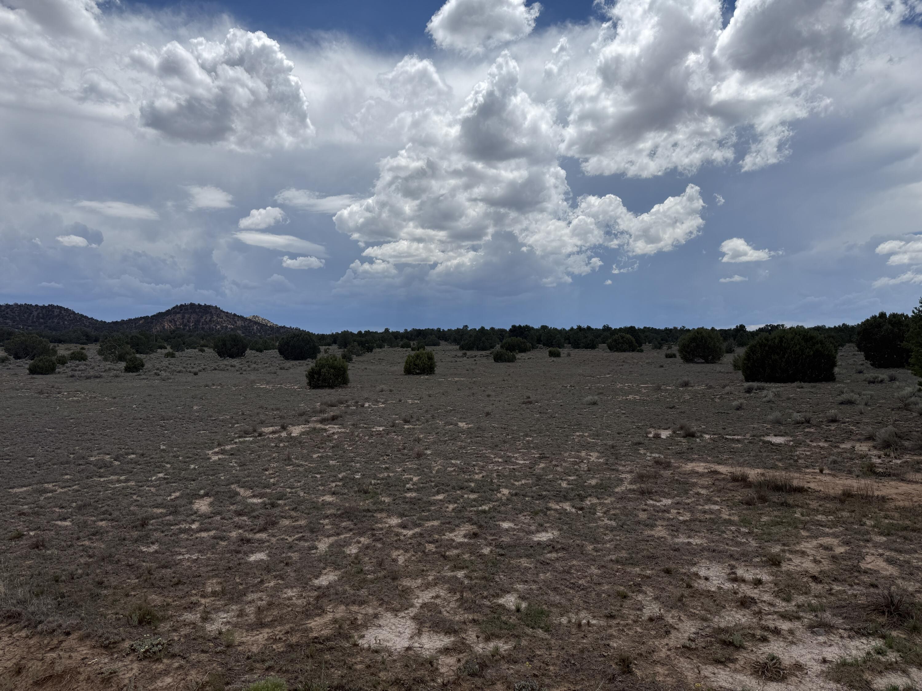 Photo 12 — LOT: 129 ANTELOPE RUN Road