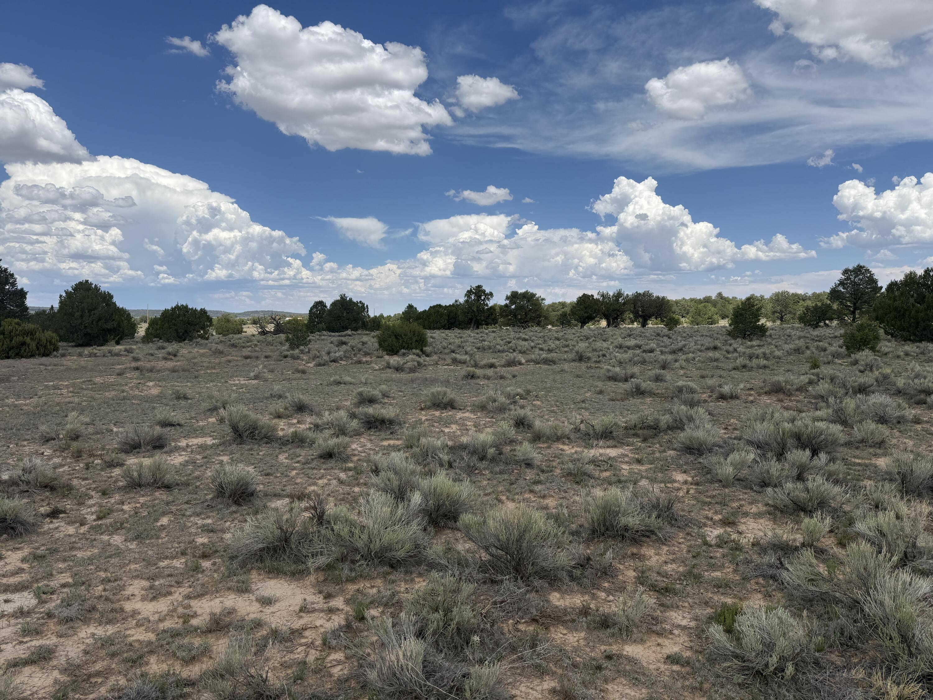 Photo 11 — LOT: 129 ANTELOPE RUN Road