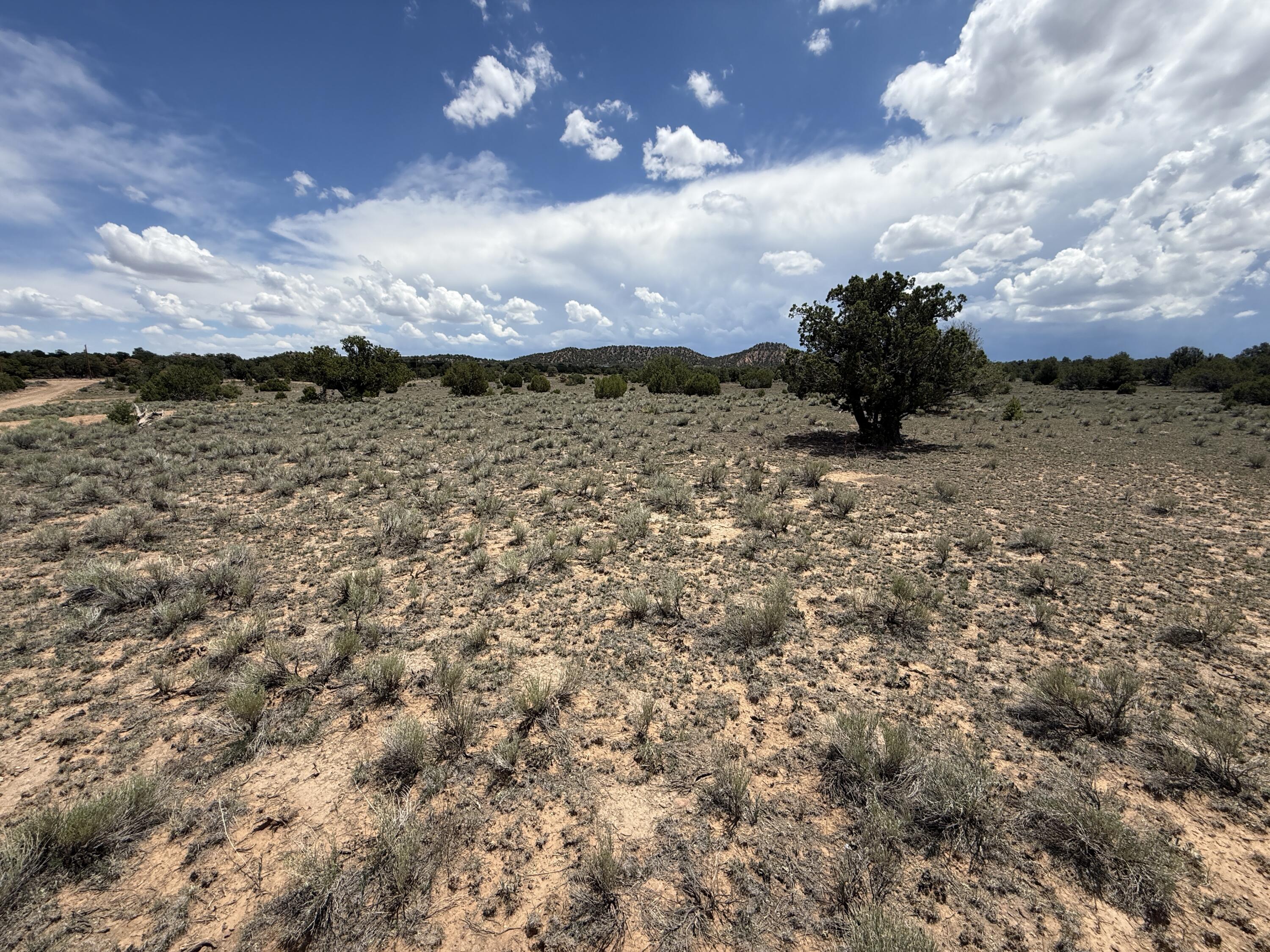 Photo 10 — LOT: 129 ANTELOPE RUN Road