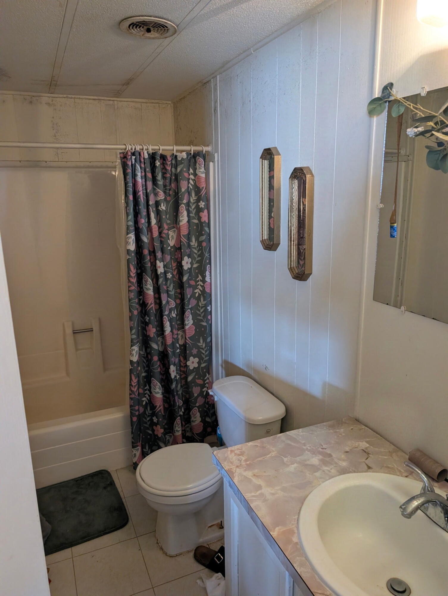 Photo 2 — 62 Primero Road