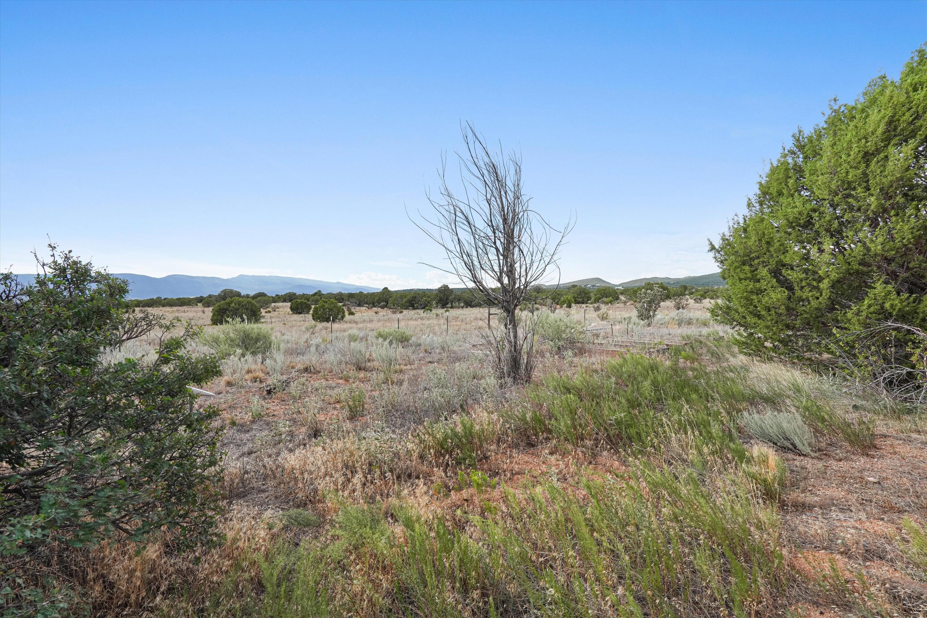 Photo 12 — 493 Frost Road # D