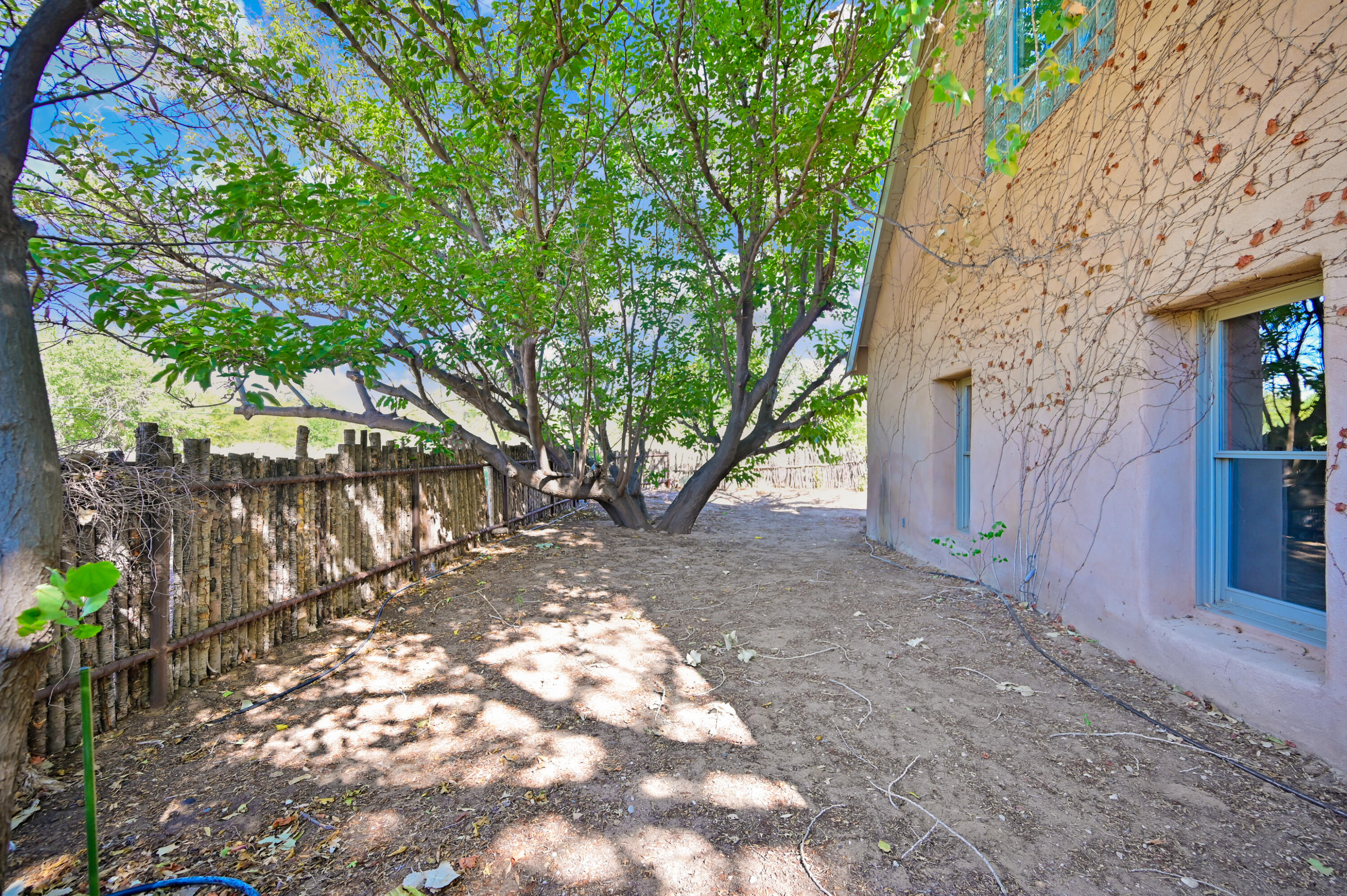 Photo 11 — 60 Desert Willow Road