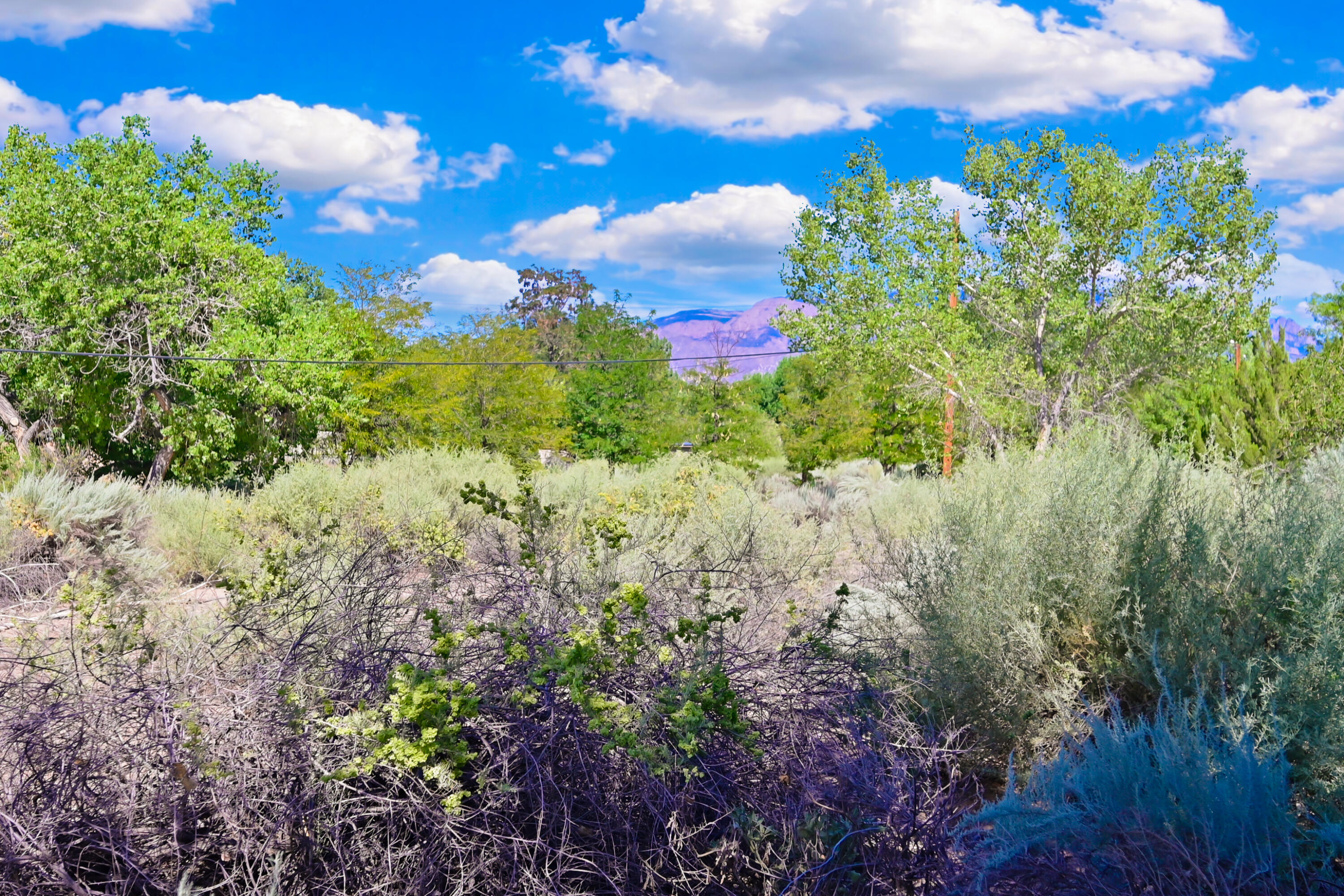 Photo 9 — 60 Desert Willow Road