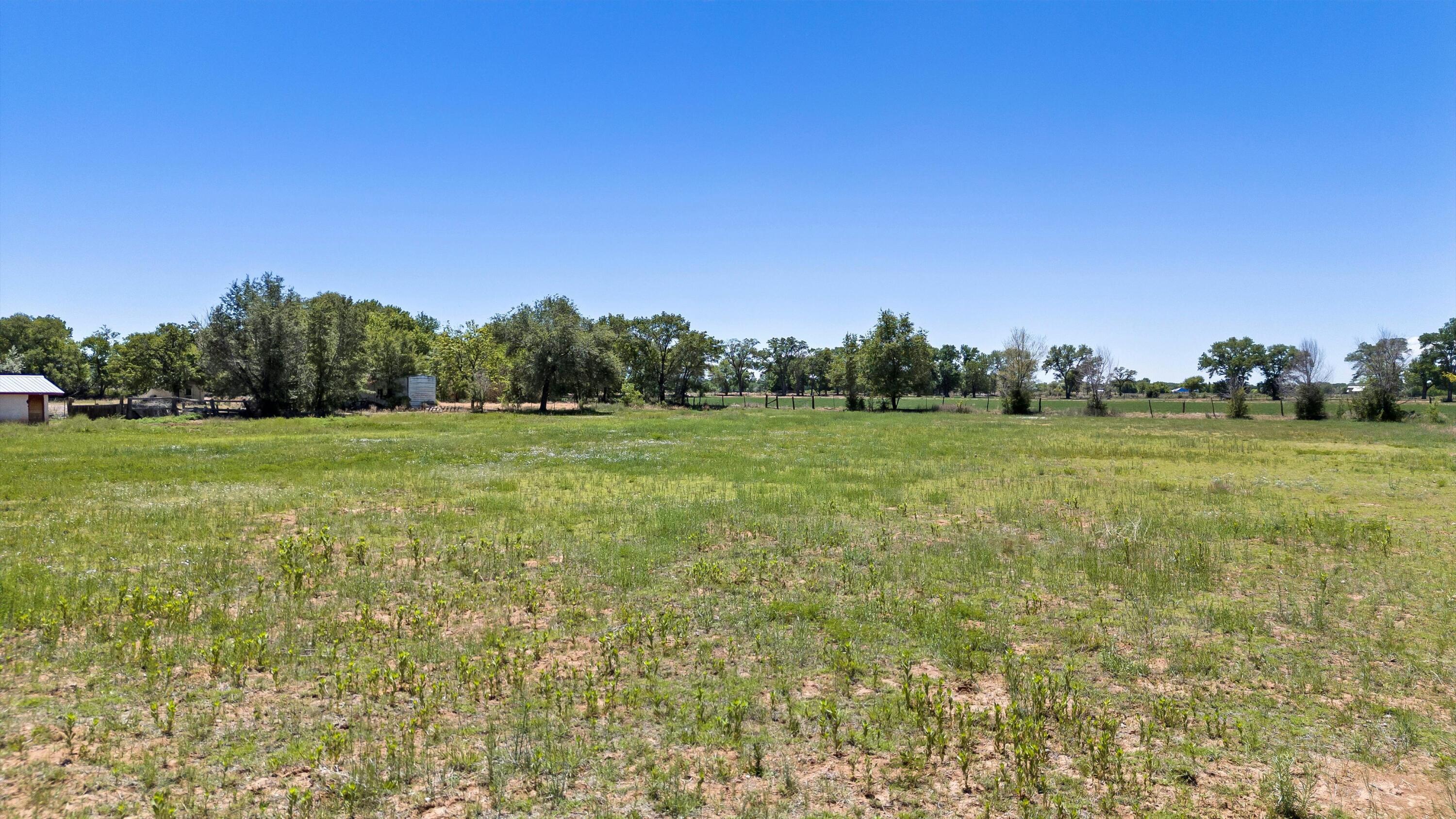Photo 5 — 1227 E River Road