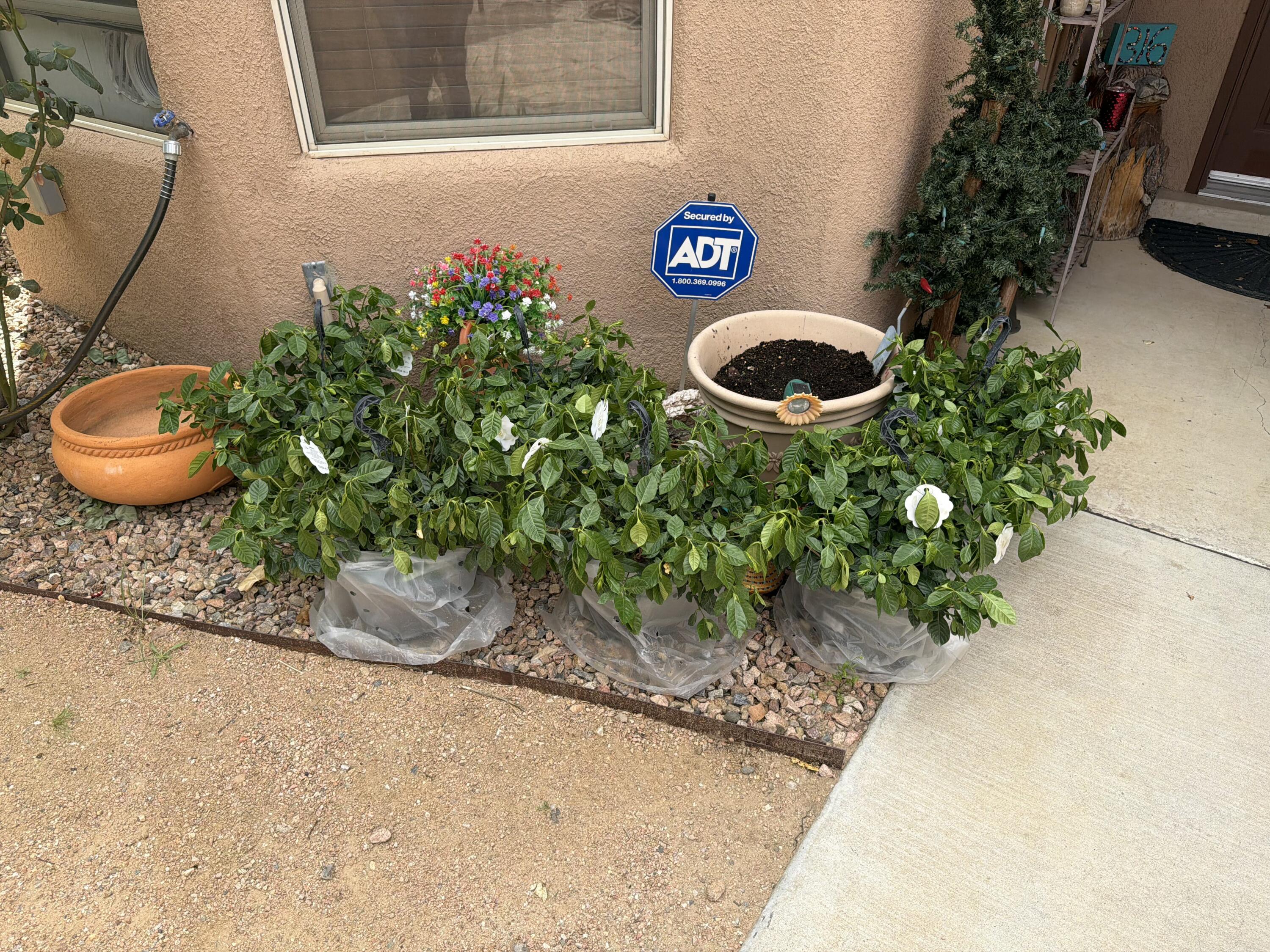 Photo 13 — 316 Cielito Lindo Place NW