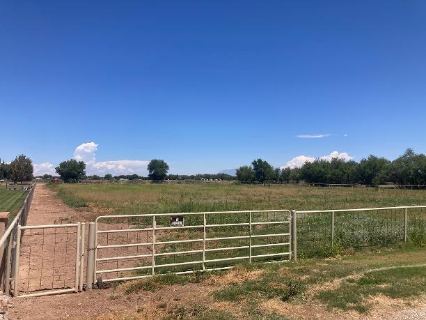 240 Sutton Lane, Bosque Farms, NM 87068