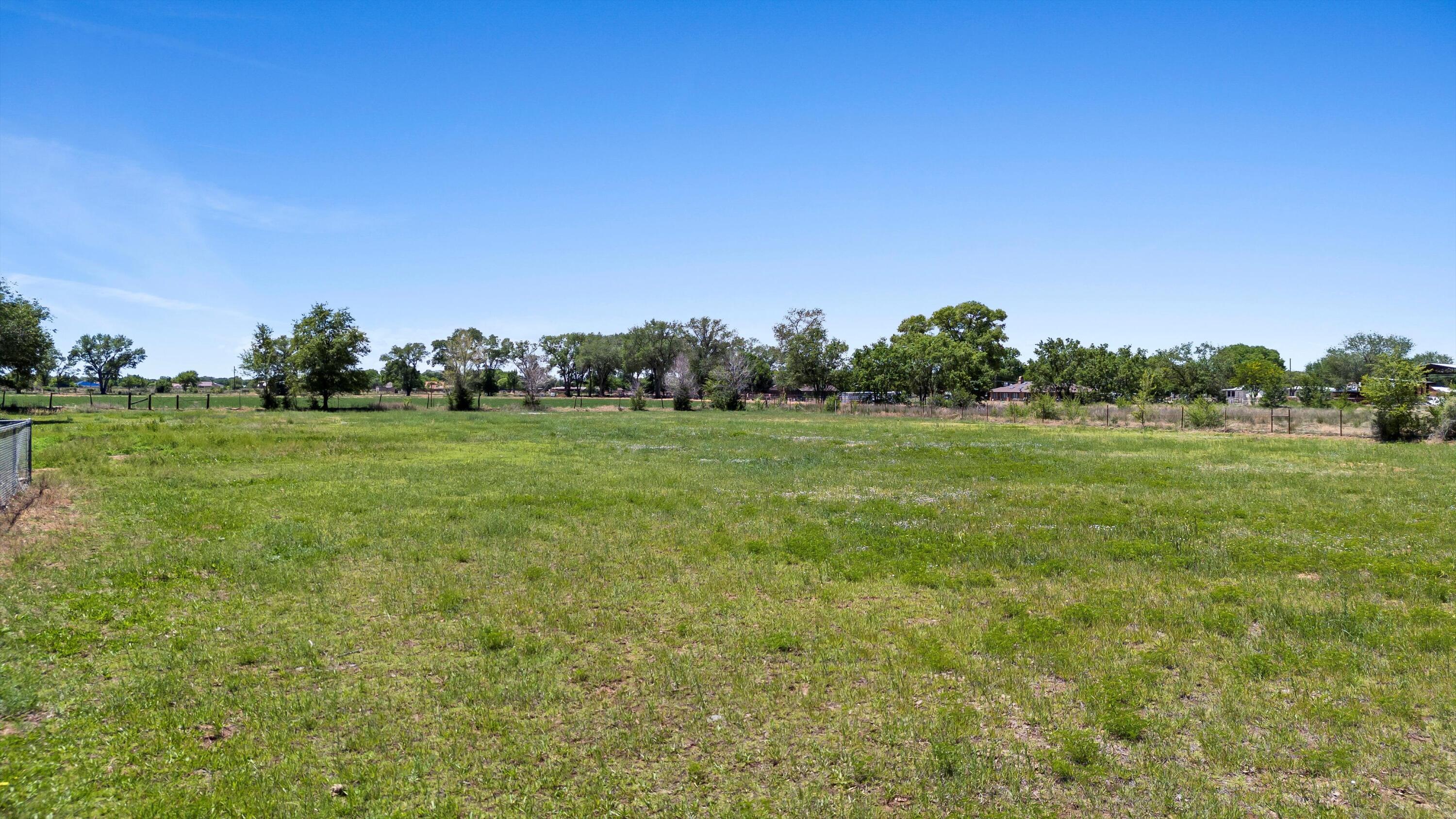 Photo 6 — 1227 E River Road