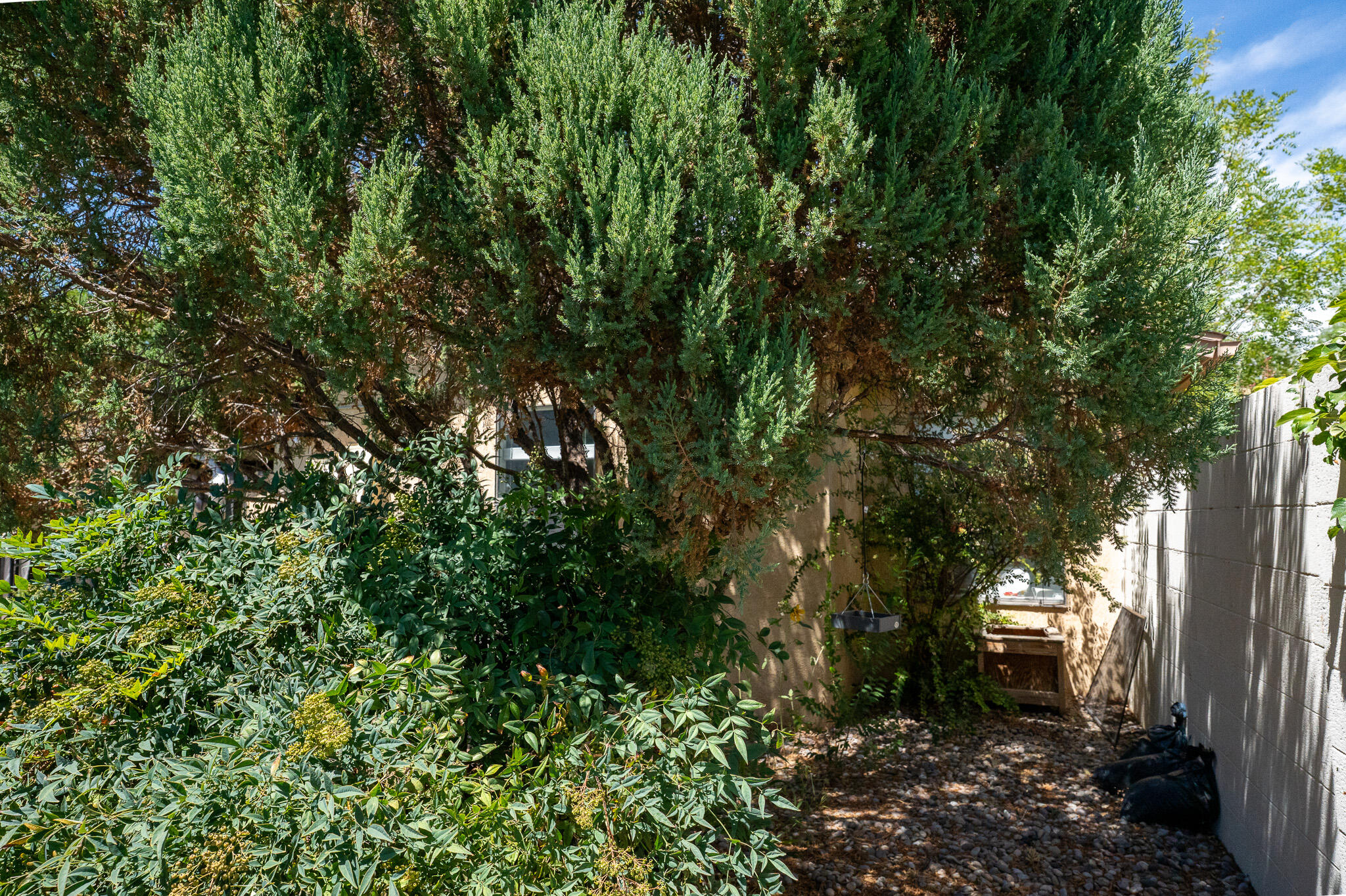 Photo 20 — 10720 Pennyback Park Drive NE