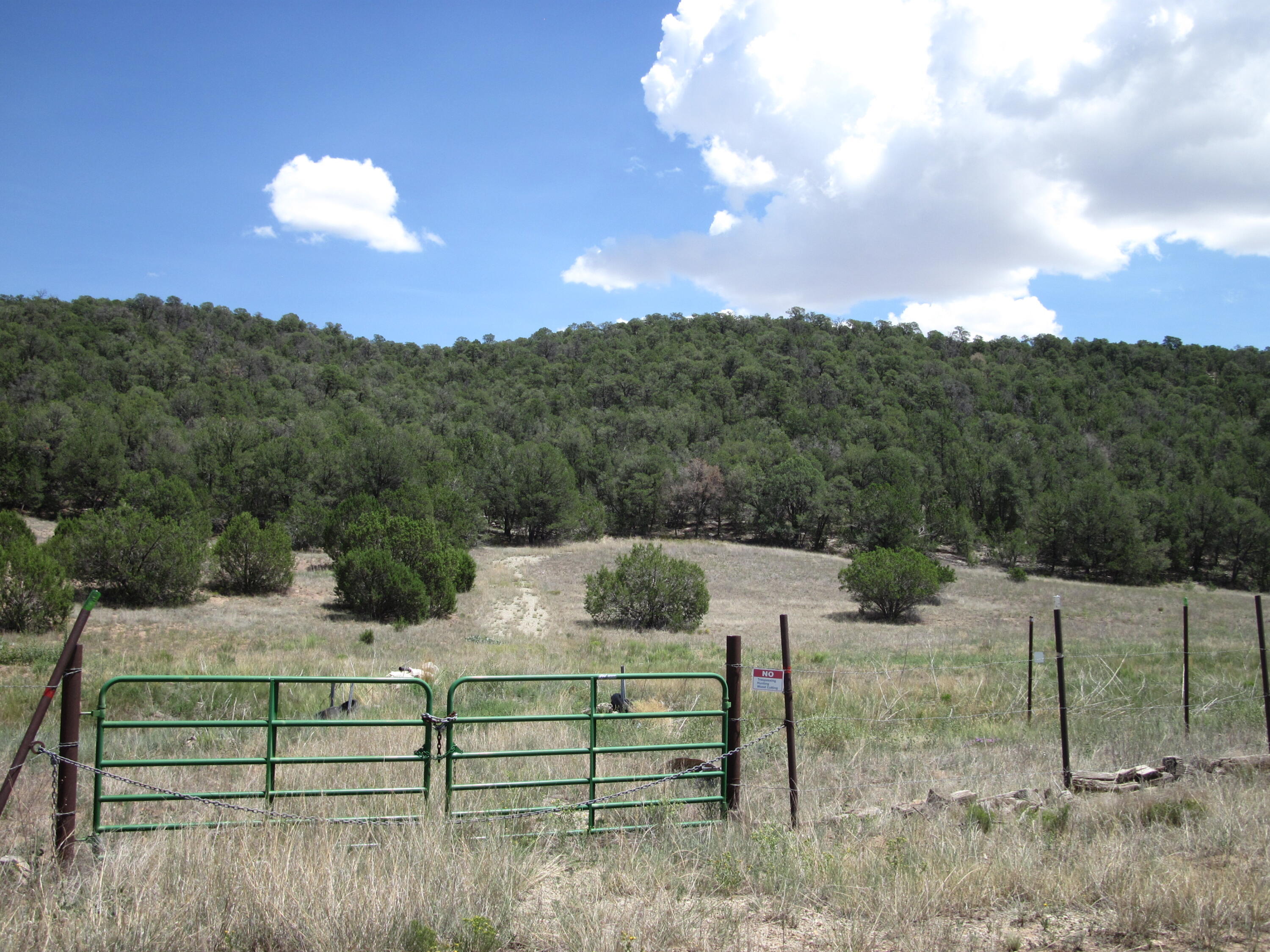40 Pleasant Valley Drive, Edgewood, NM 87015