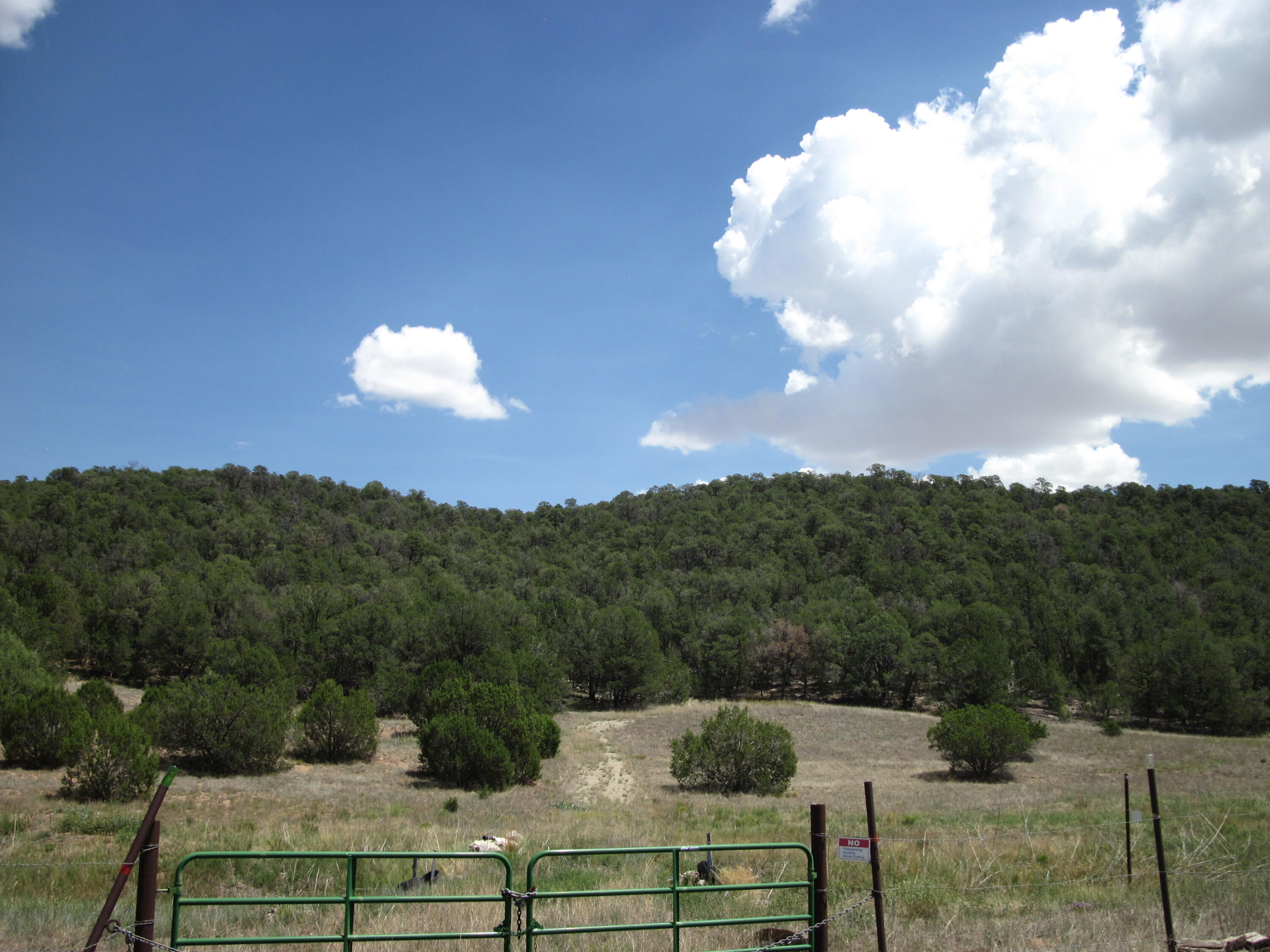 Photo 9 — 40 Pleasant Valley Drive