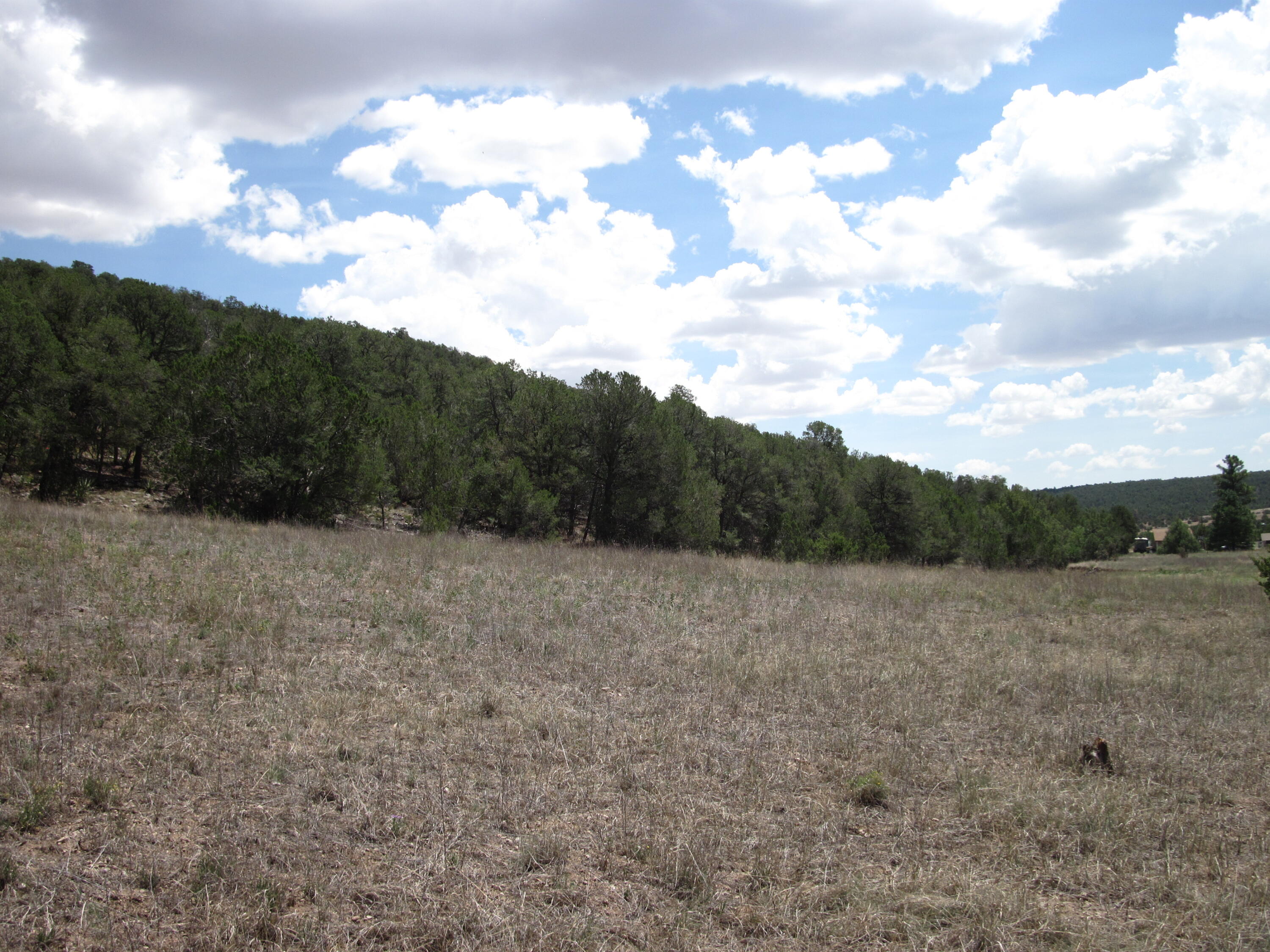 Photo 5 — 40 Pleasant Valley Drive