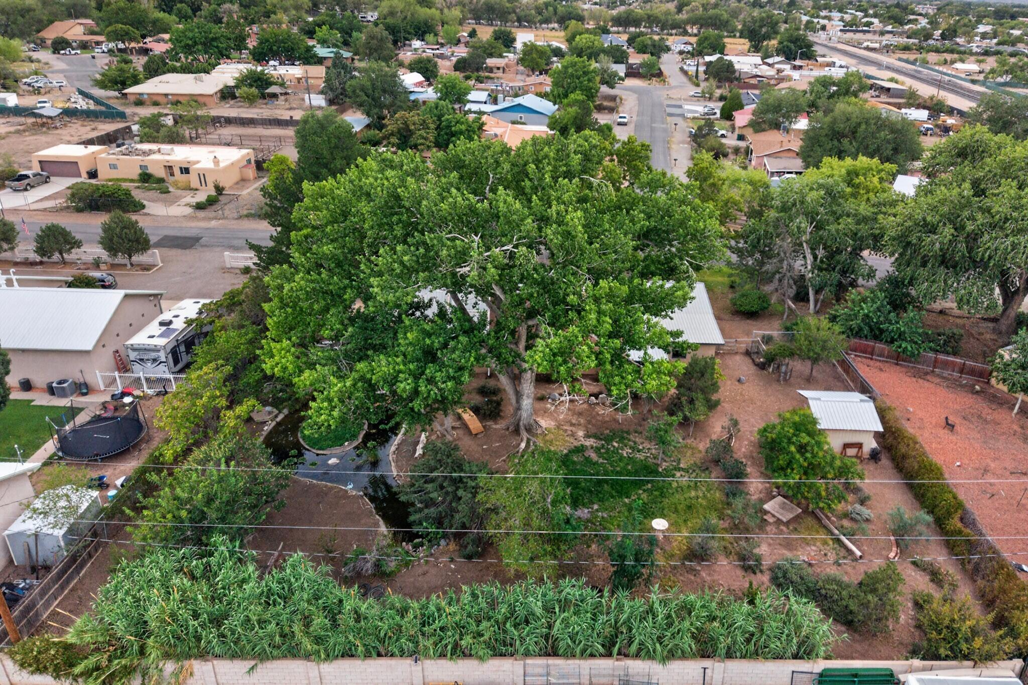 Photo 10 — 105 Sombrero Loop NE