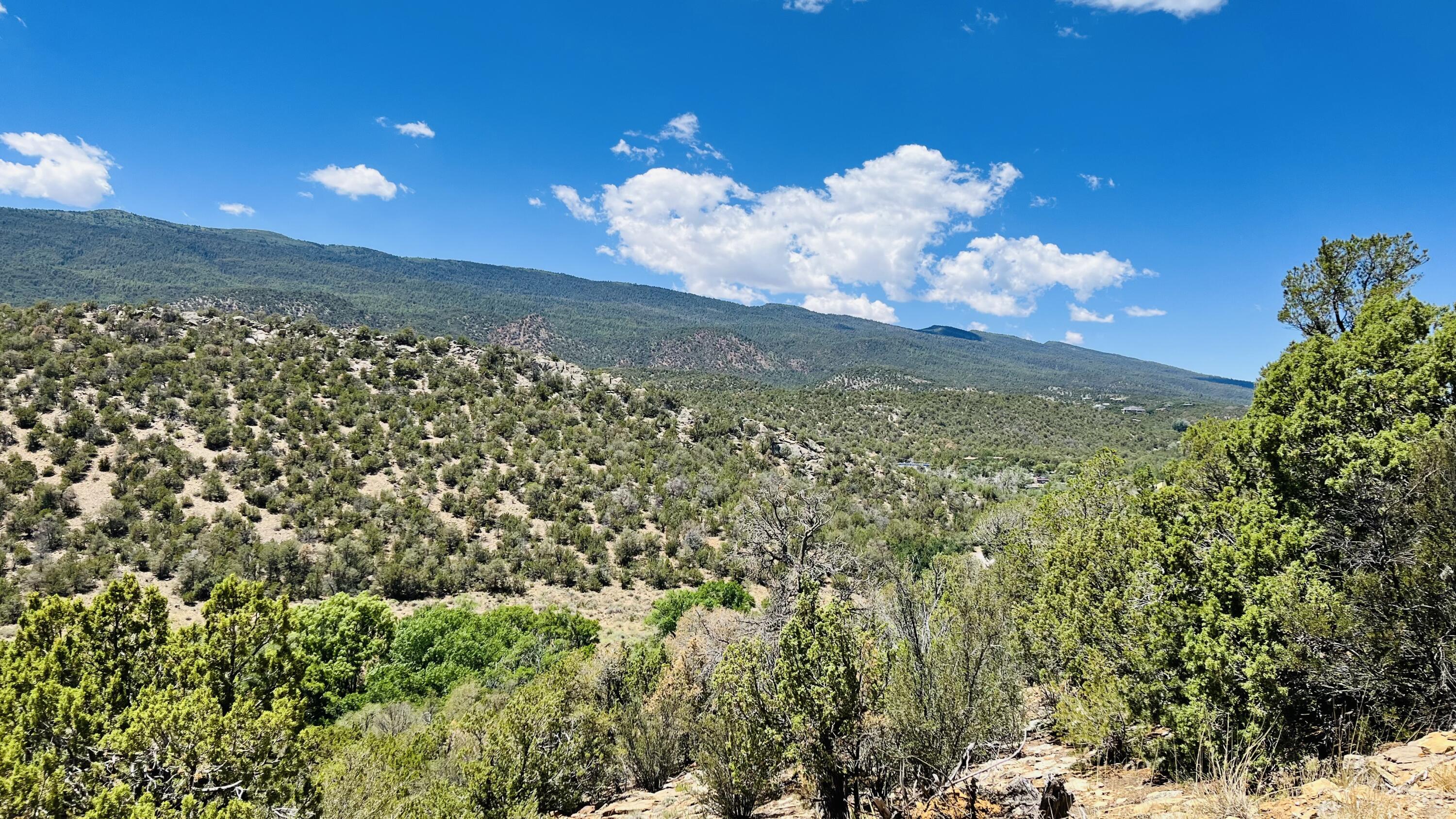 18 Larry Lane