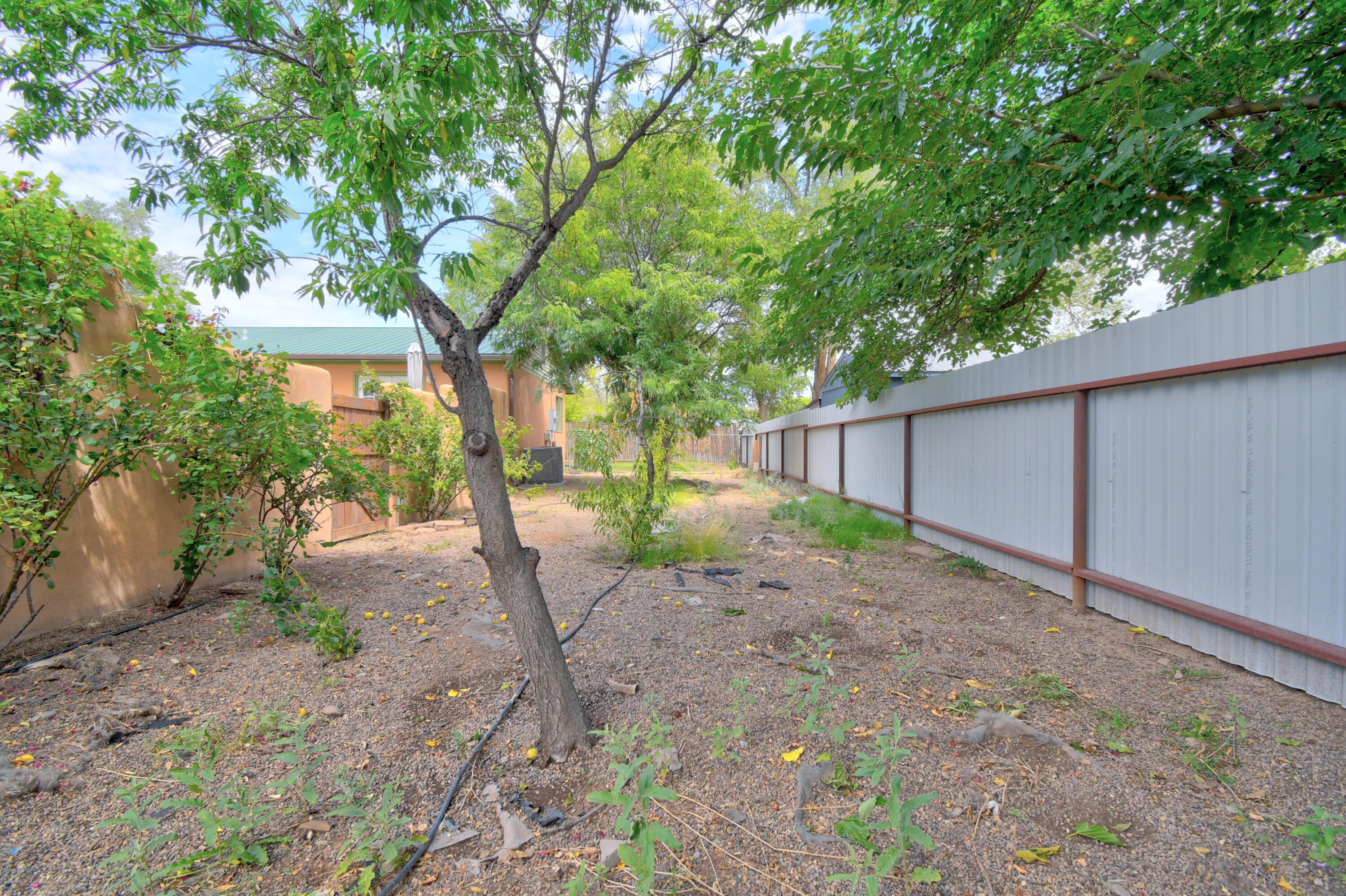 Photo 7 — 635 Esperanza Drive