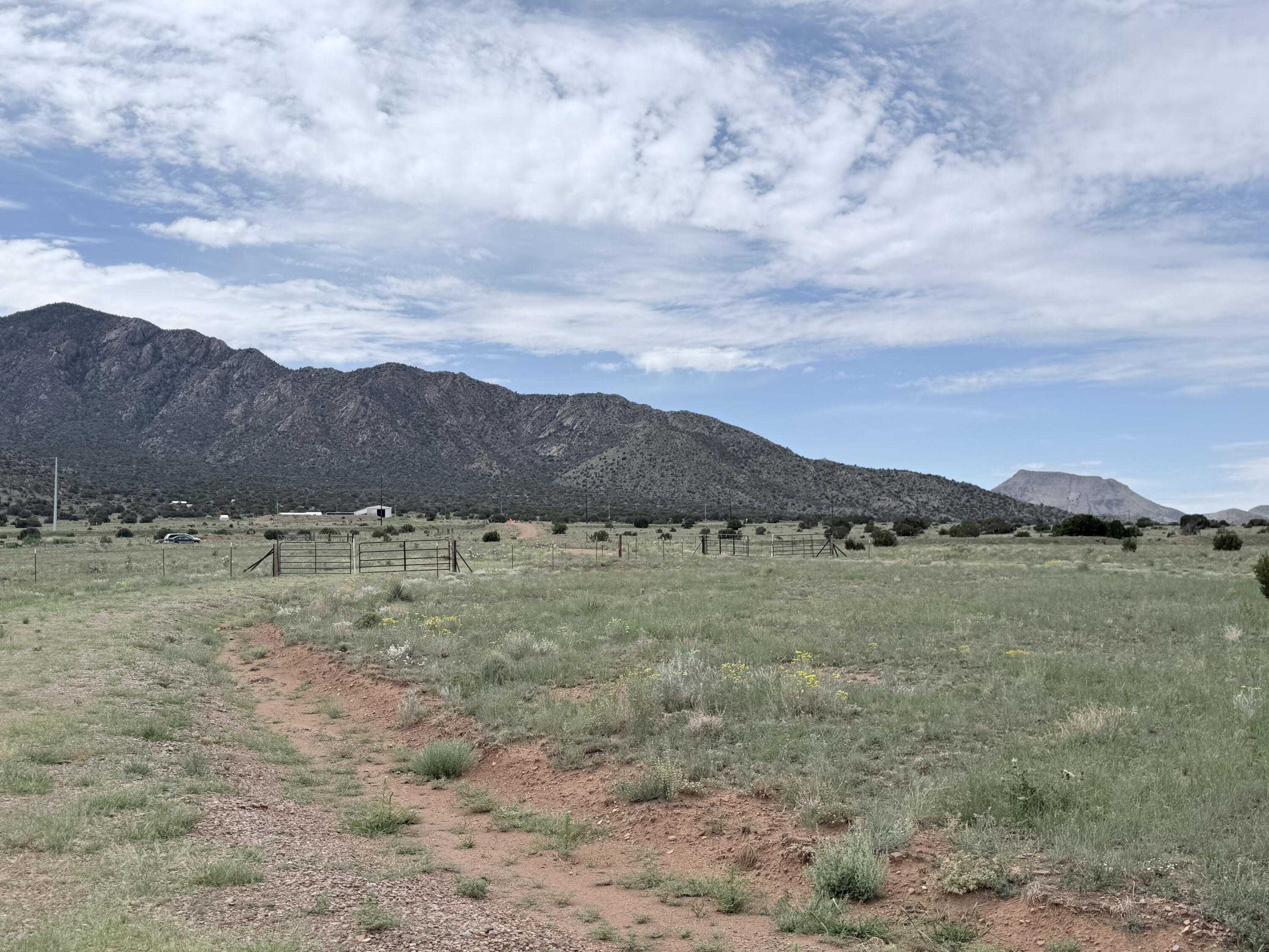 Photo 3 — 26 La Hinca Road