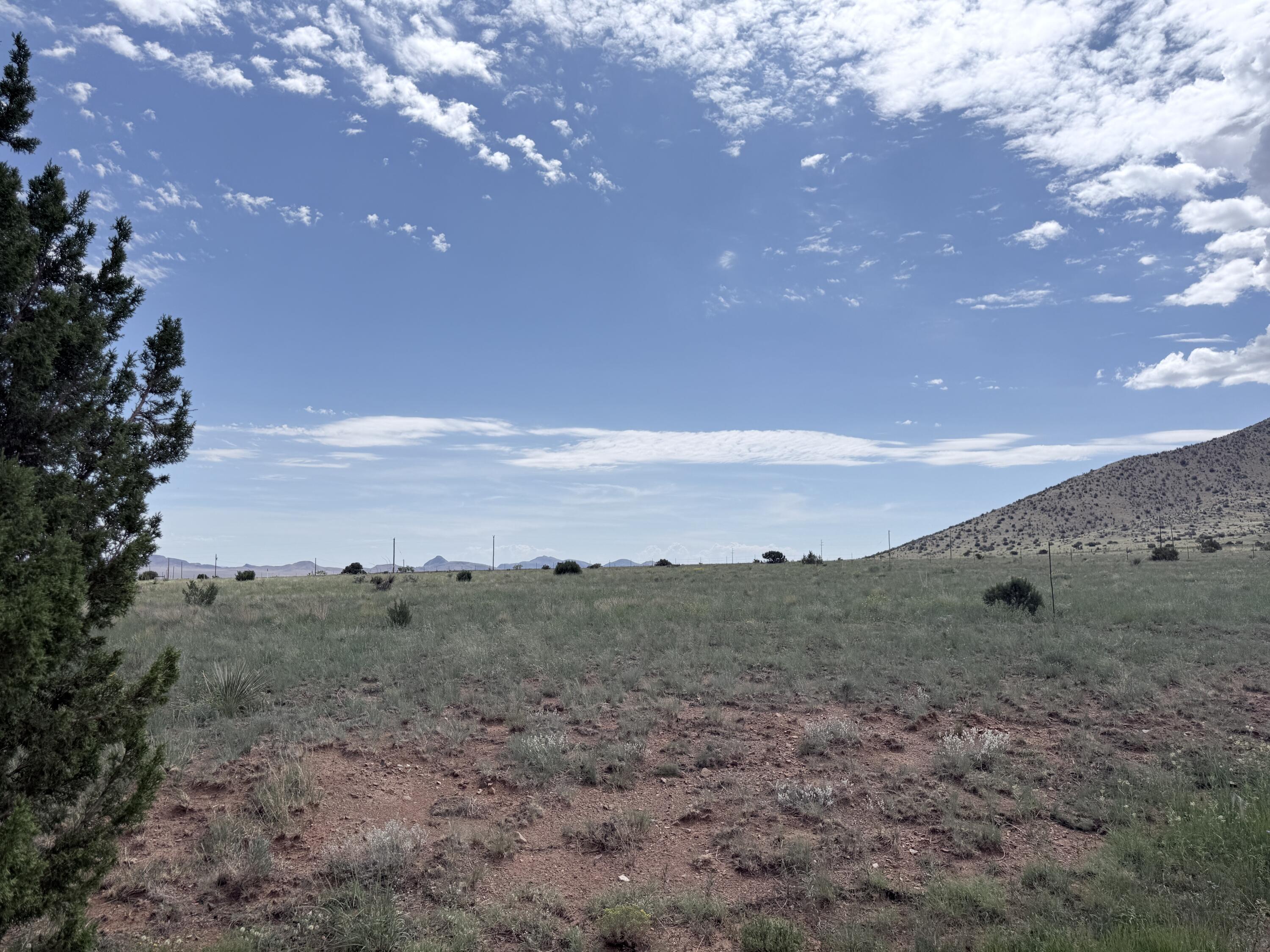 Photo 4 — 26 La Hinca Road