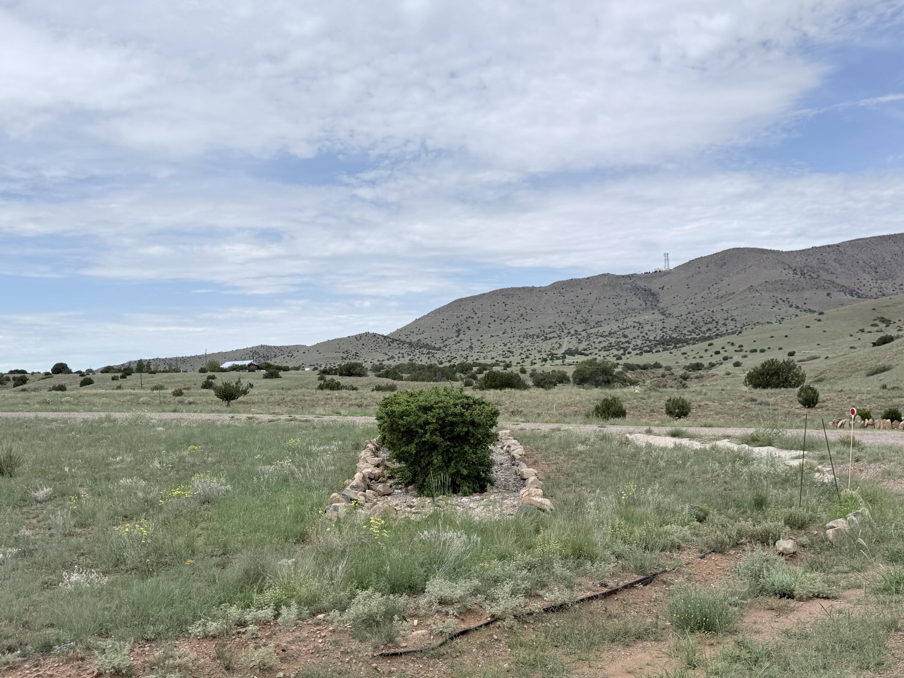 Photo 5 — 26 La Hinca Road