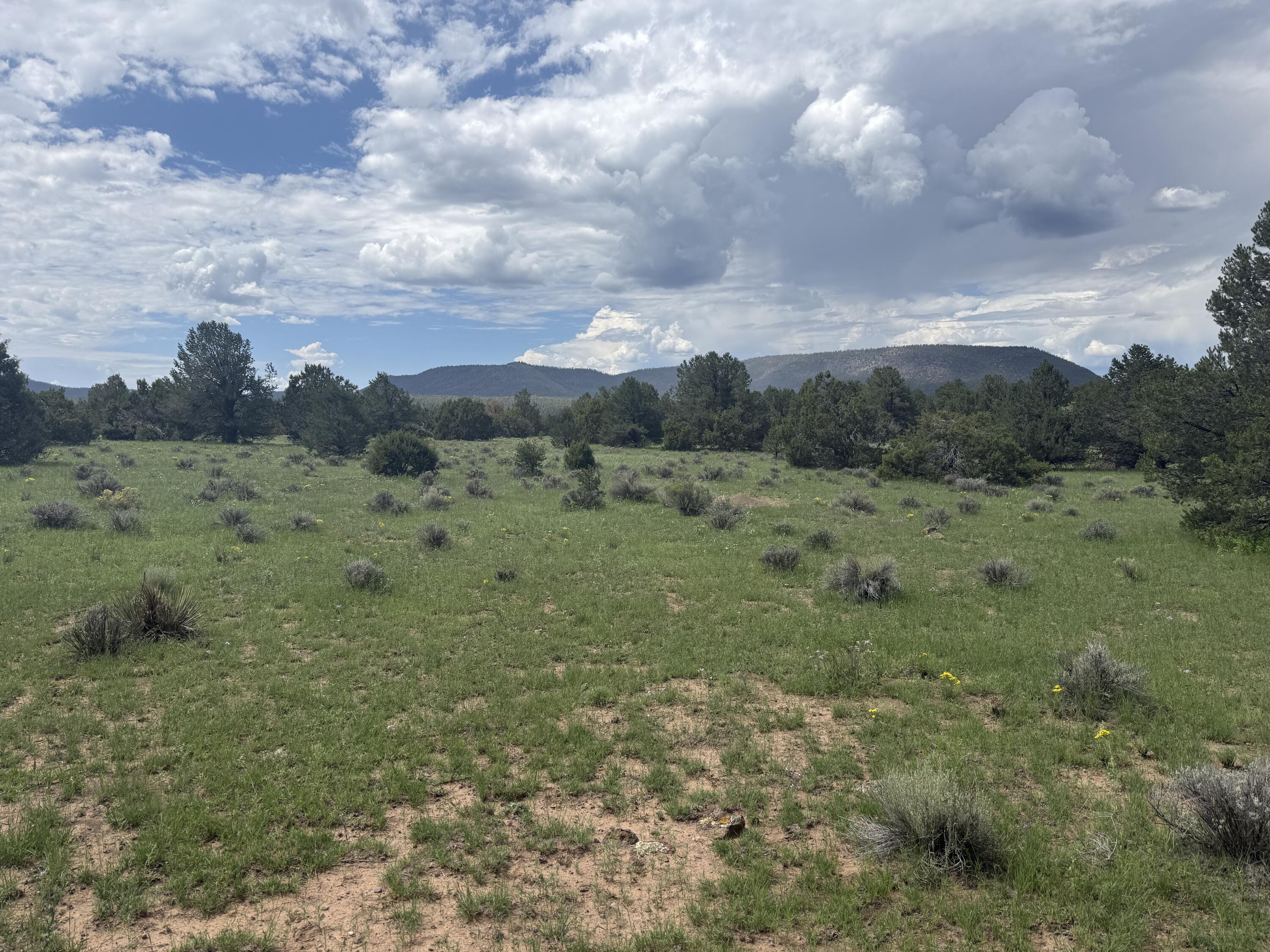 Photo 2 — LOT N-12 LARGO CANYON LOOP