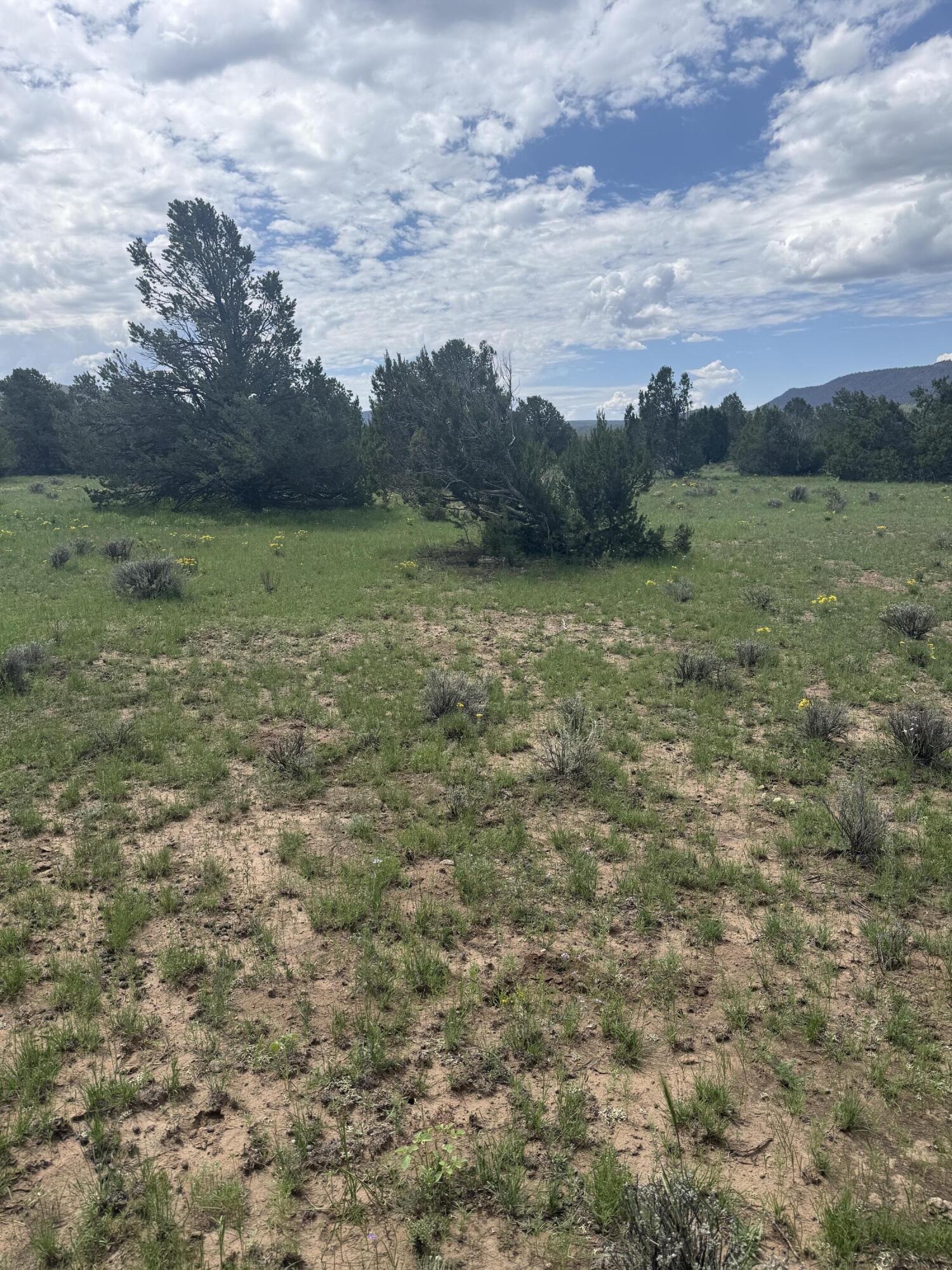 Photo 3 — LOT N-12 LARGO CANYON LOOP