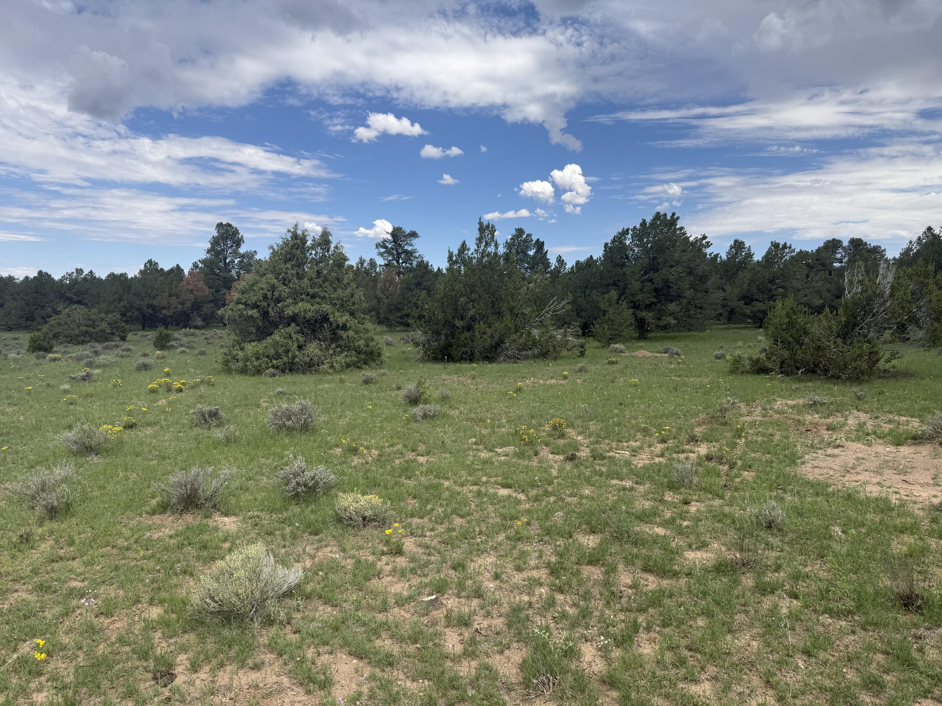 Photo 4 — LOT N-12 LARGO CANYON LOOP