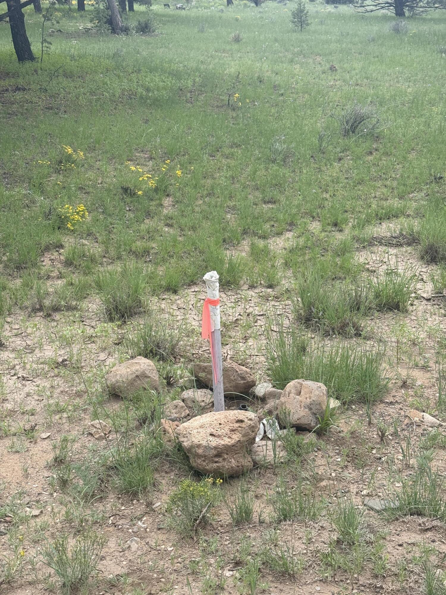 Photo 13 — LOT N-12 LARGO CANYON LOOP