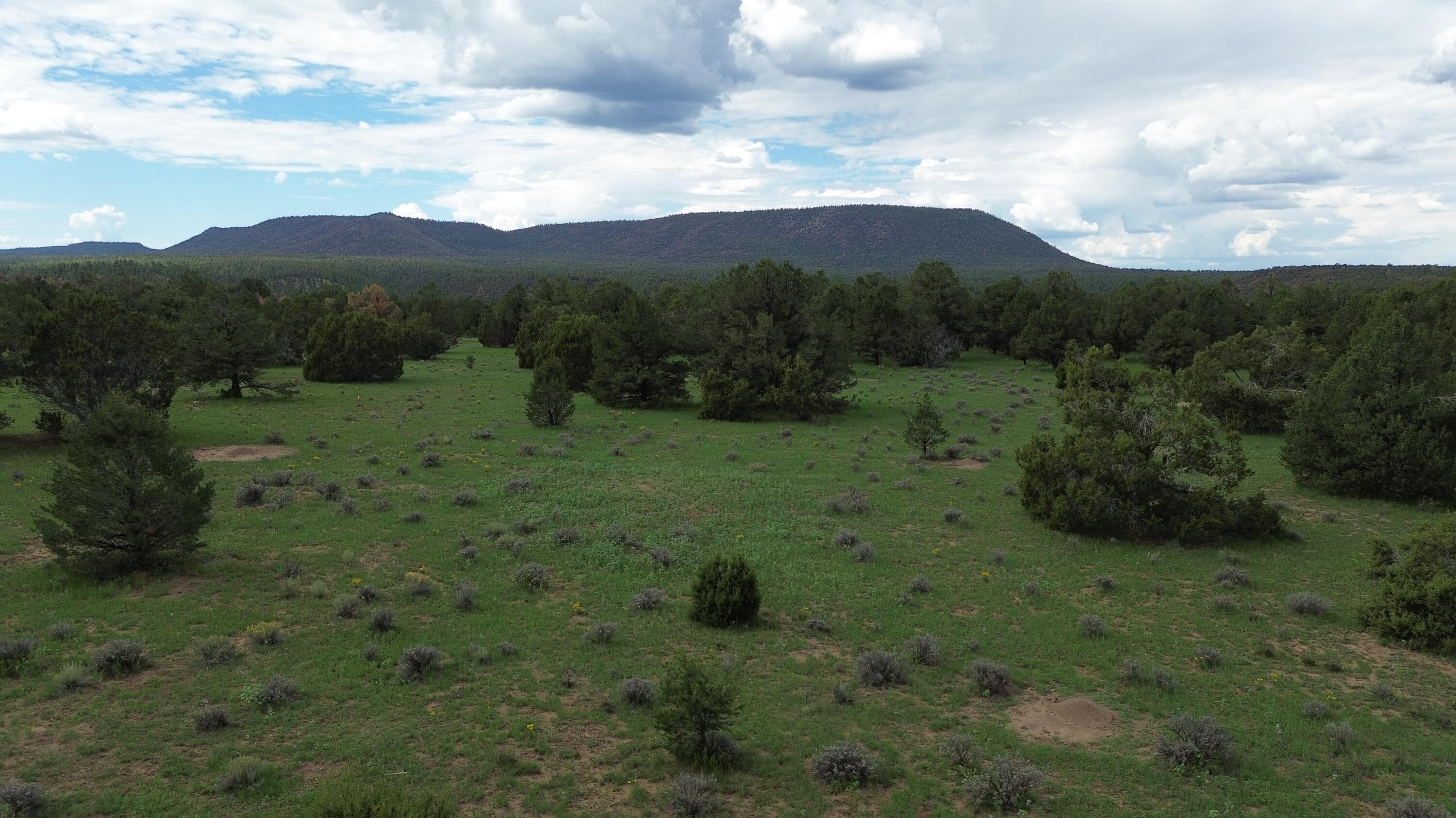 Photo 16 — LOT N-12 LARGO CANYON LOOP