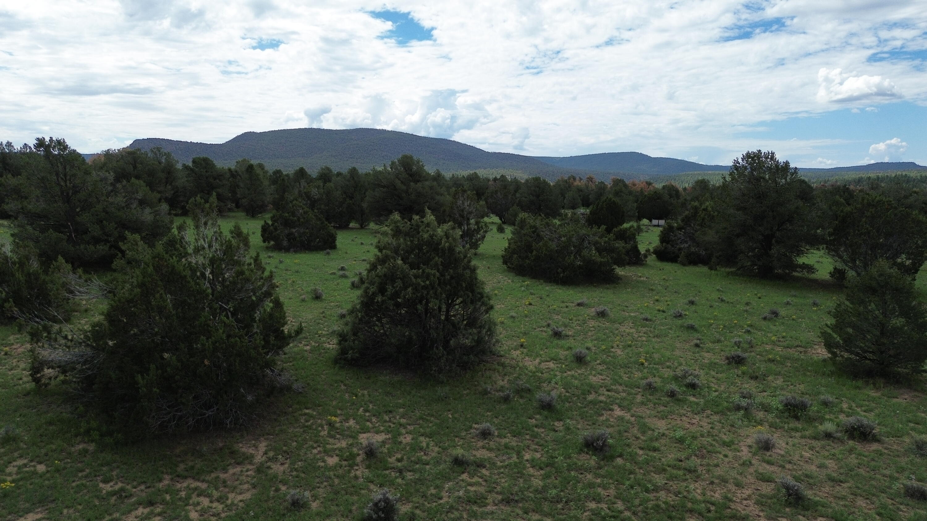 Photo 17 — LOT N-12 LARGO CANYON LOOP