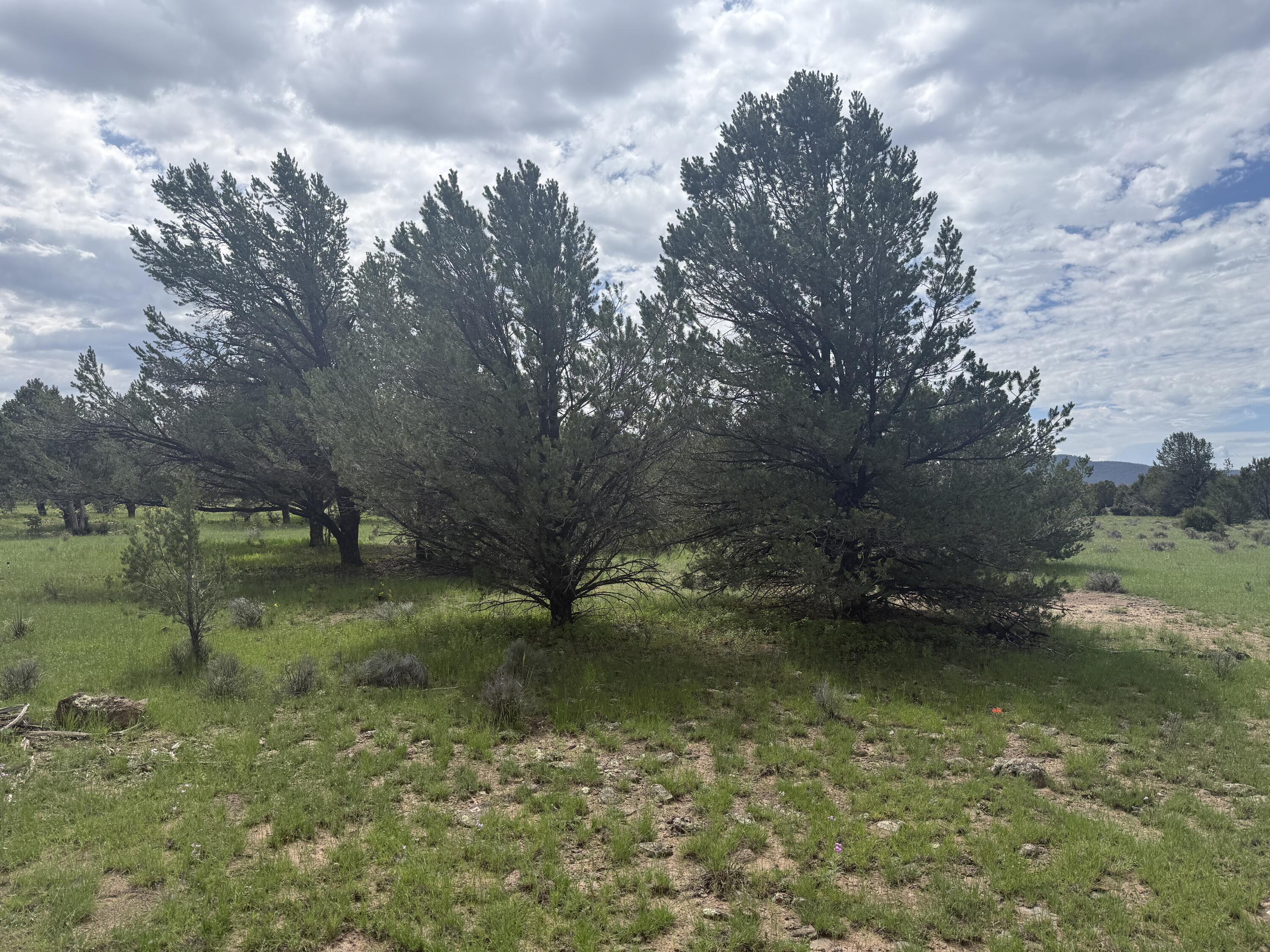 Photo 19 — LOT N-12 LARGO CANYON LOOP