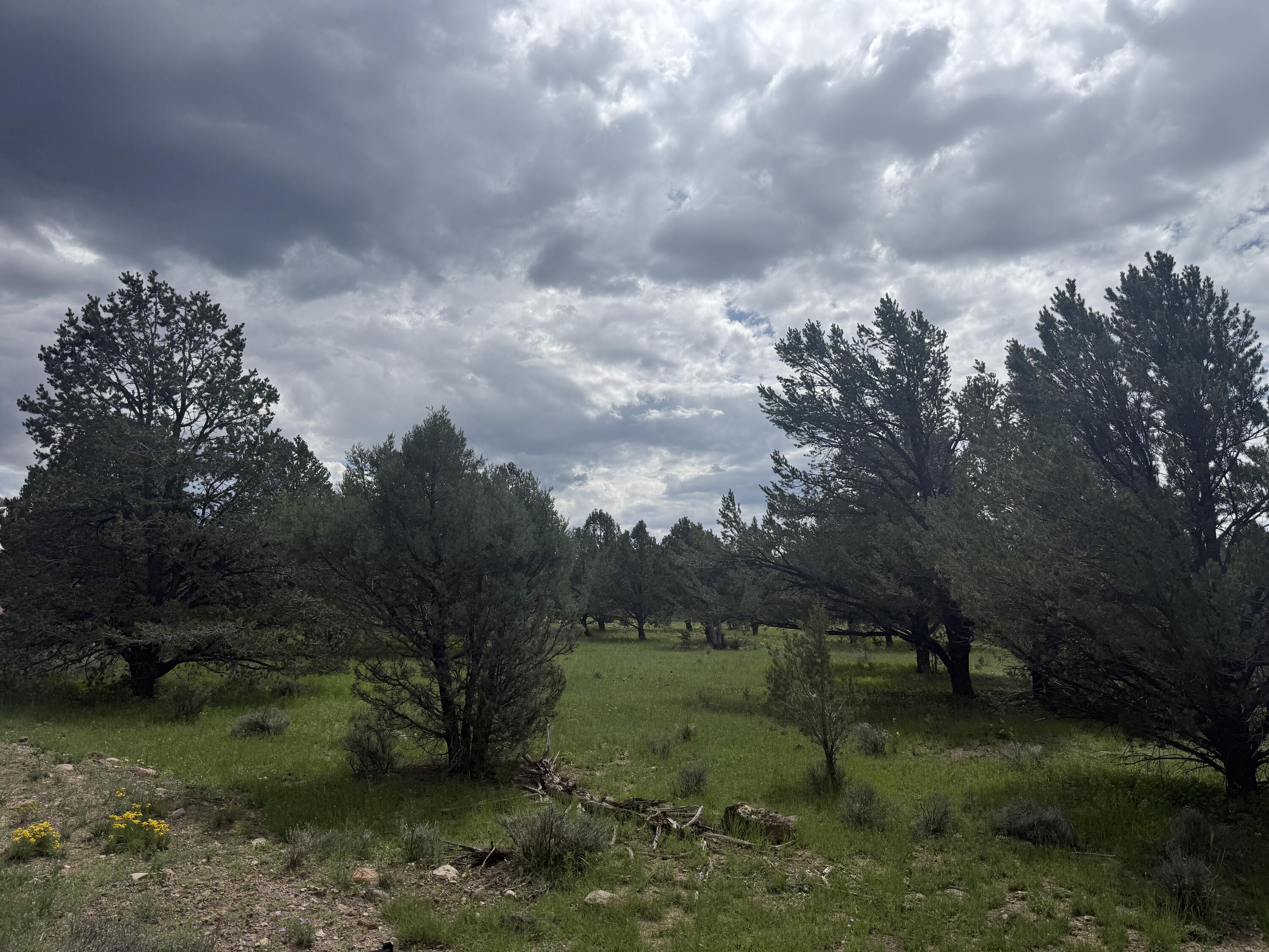 Photo 20 — LOT N-12 LARGO CANYON LOOP
