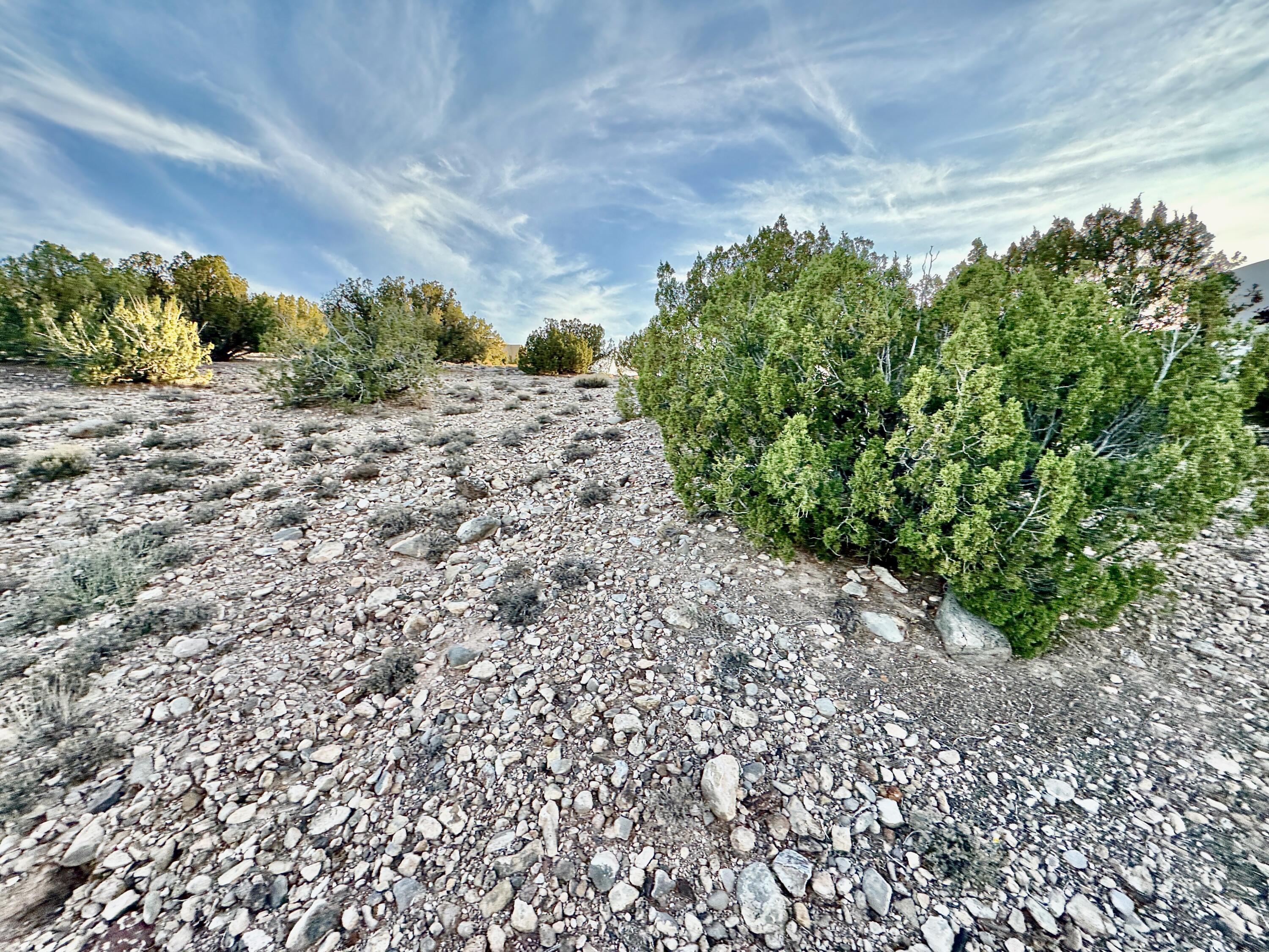 Photo 2 —  ANASAZI TRAILS Lot: 100