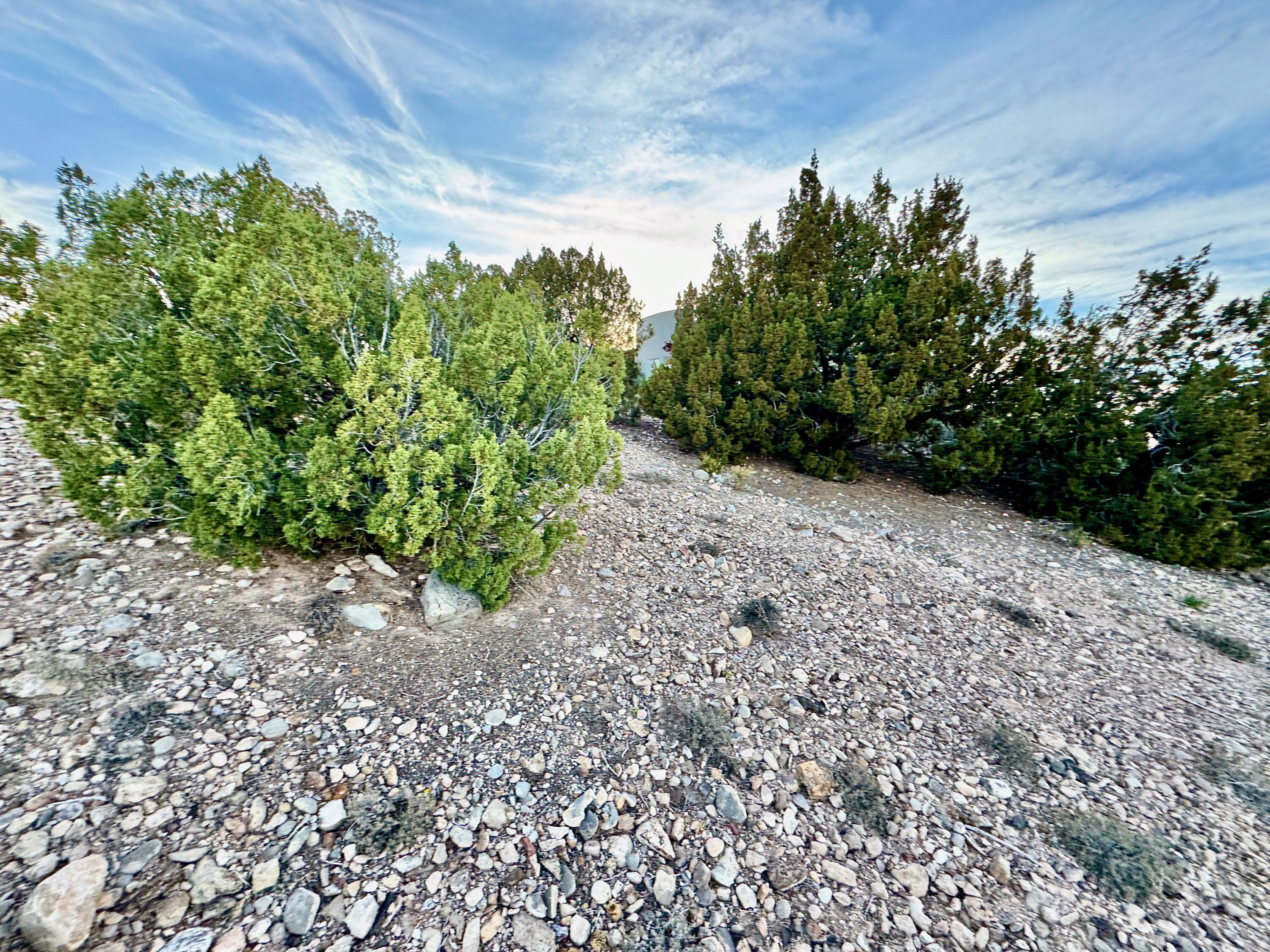 Photo 3 —  ANASAZI TRAILS Lot: 100