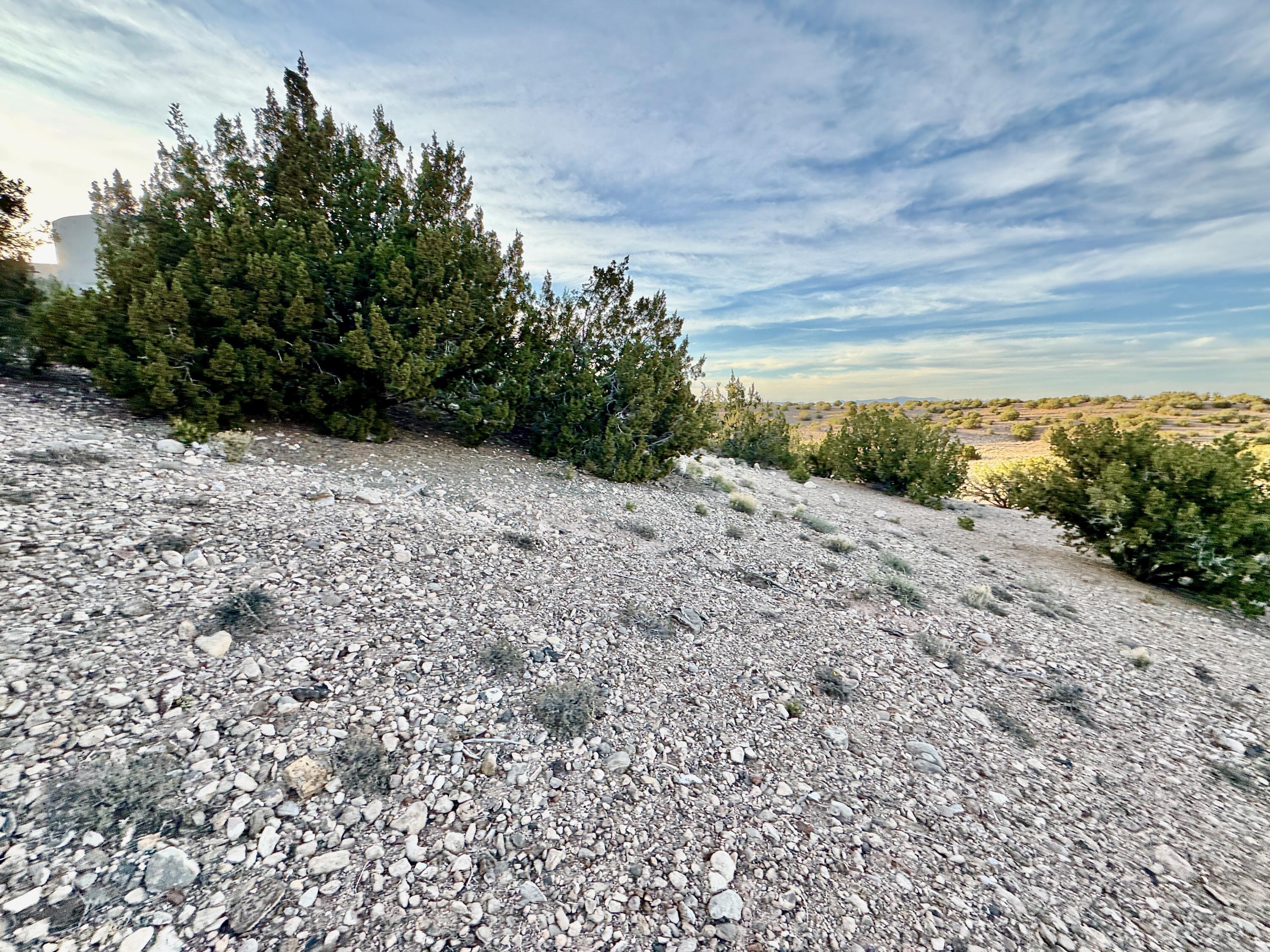 Photo 4 —  ANASAZI TRAILS Lot: 100