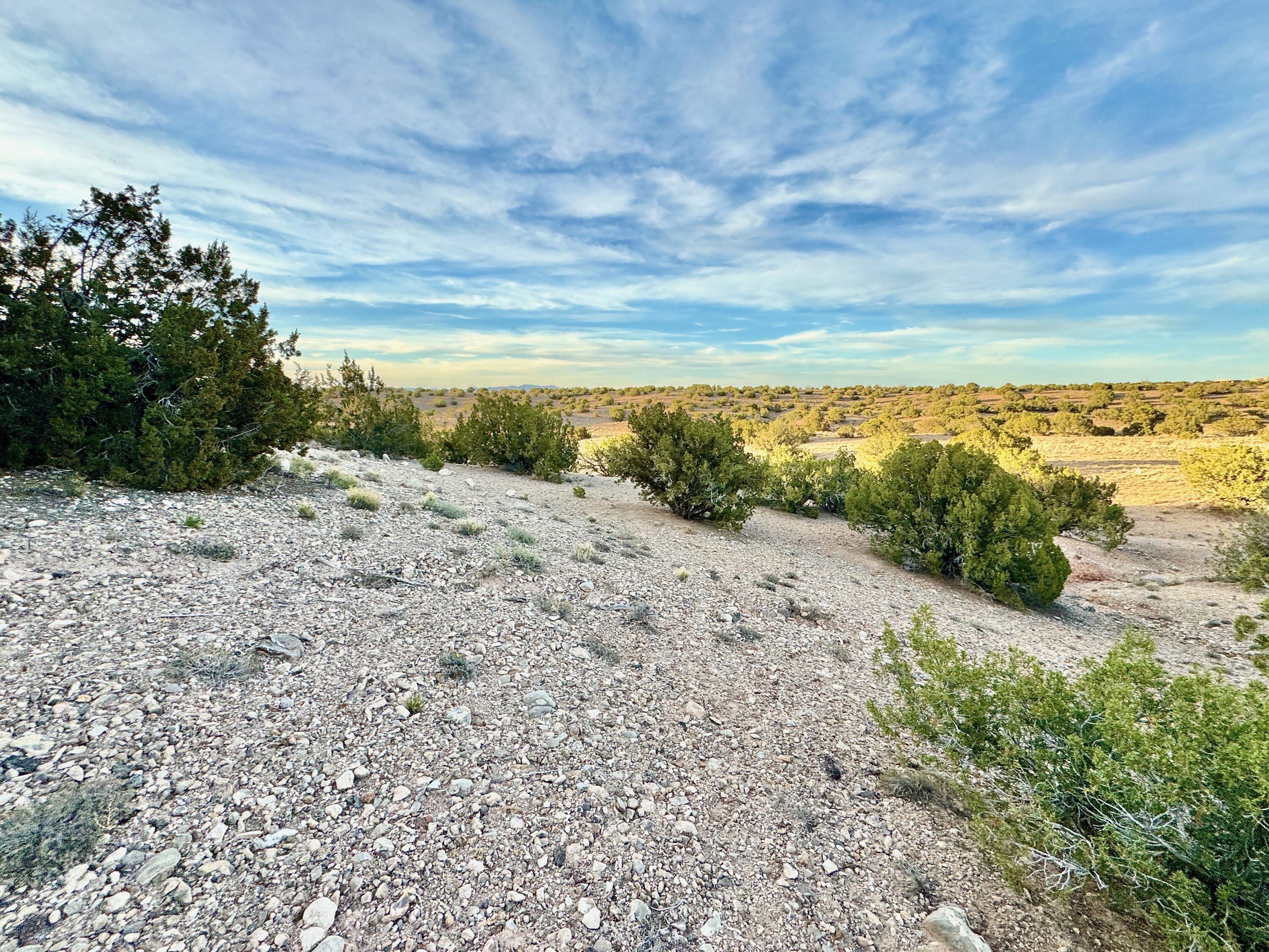Photo 5 —  ANASAZI TRAILS Lot: 100