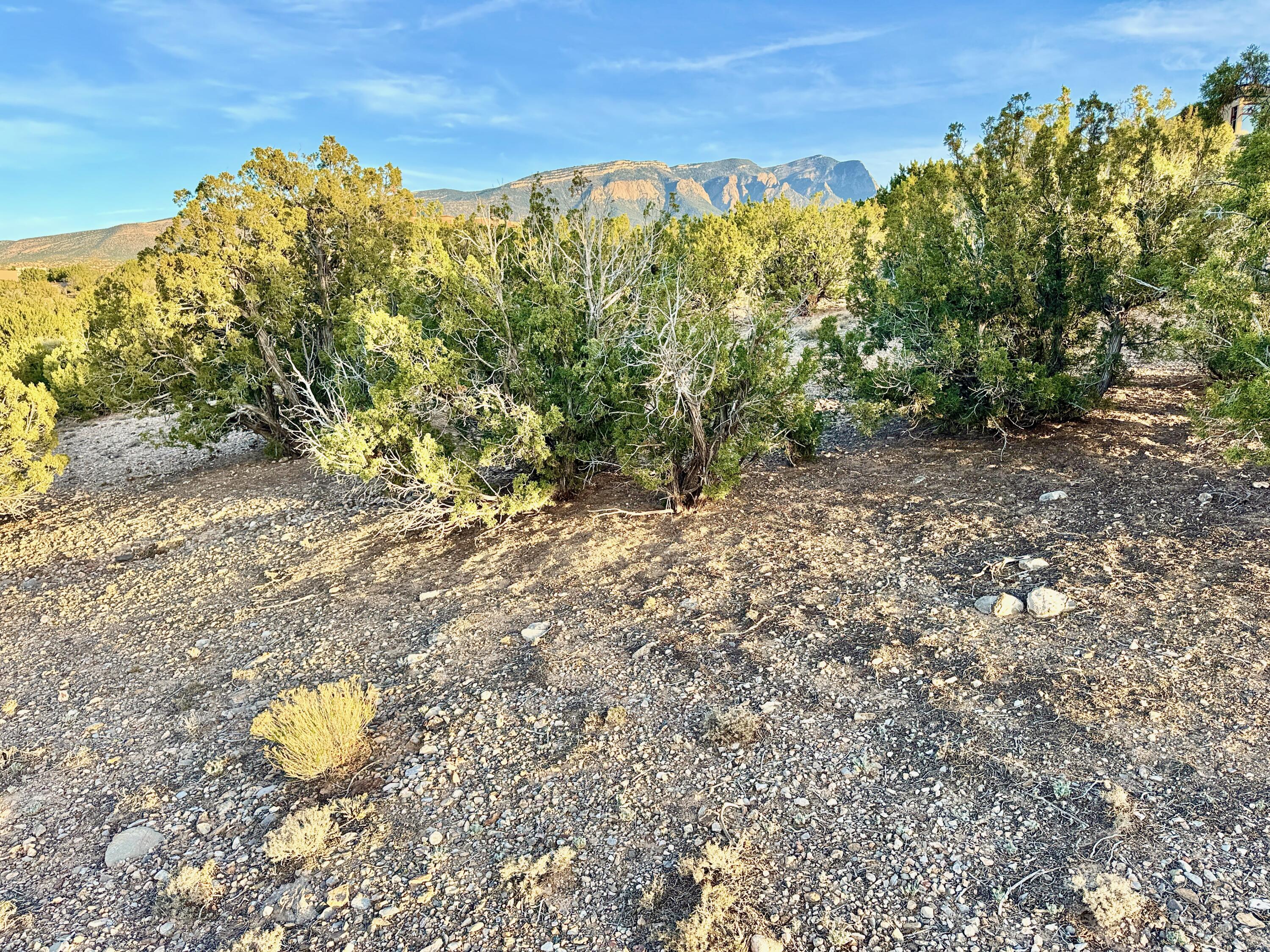 Photo 7 —  ANASAZI TRAILS Lot: 100
