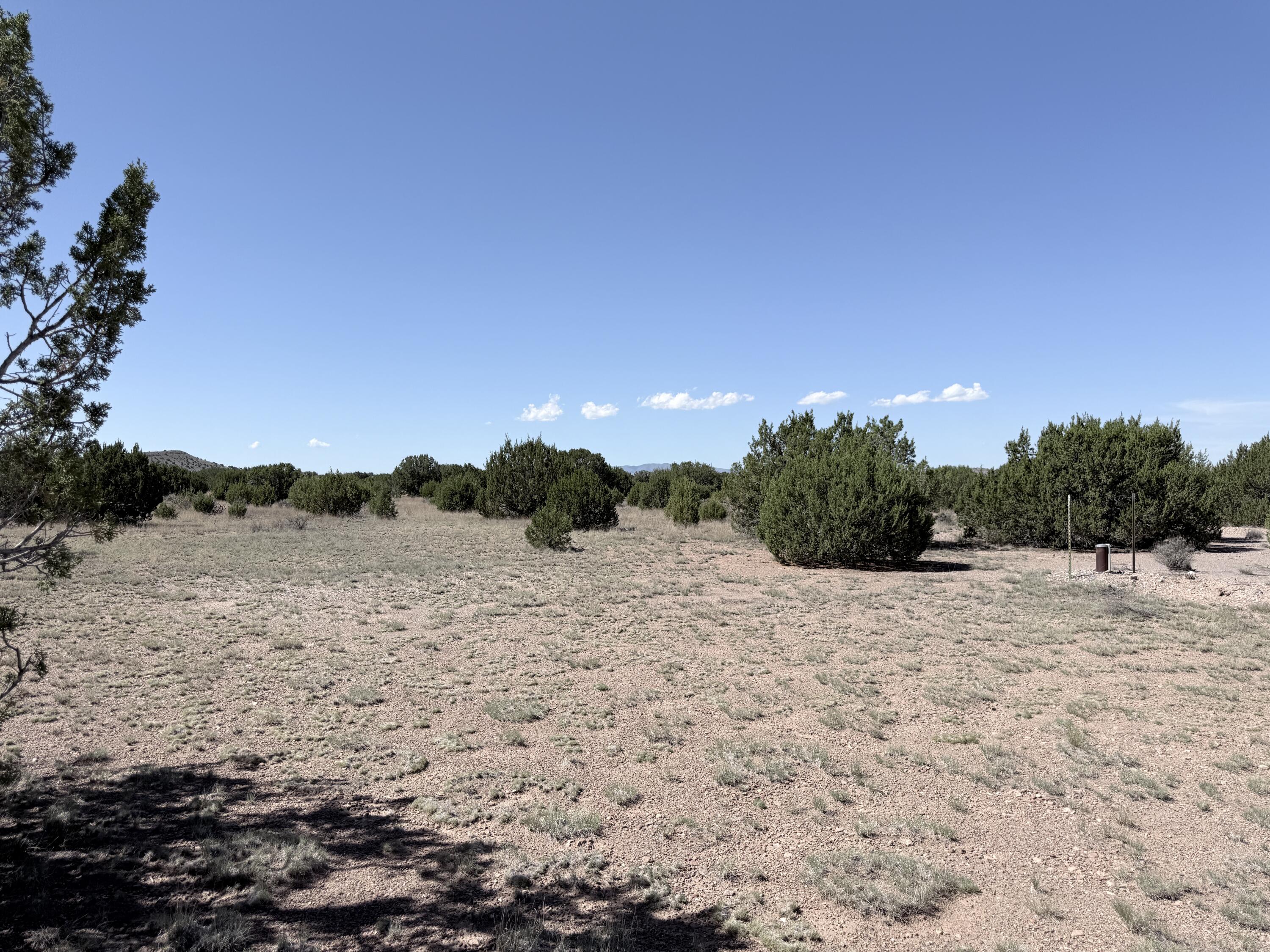 Photo 8 — 42 Longhorn Drive
