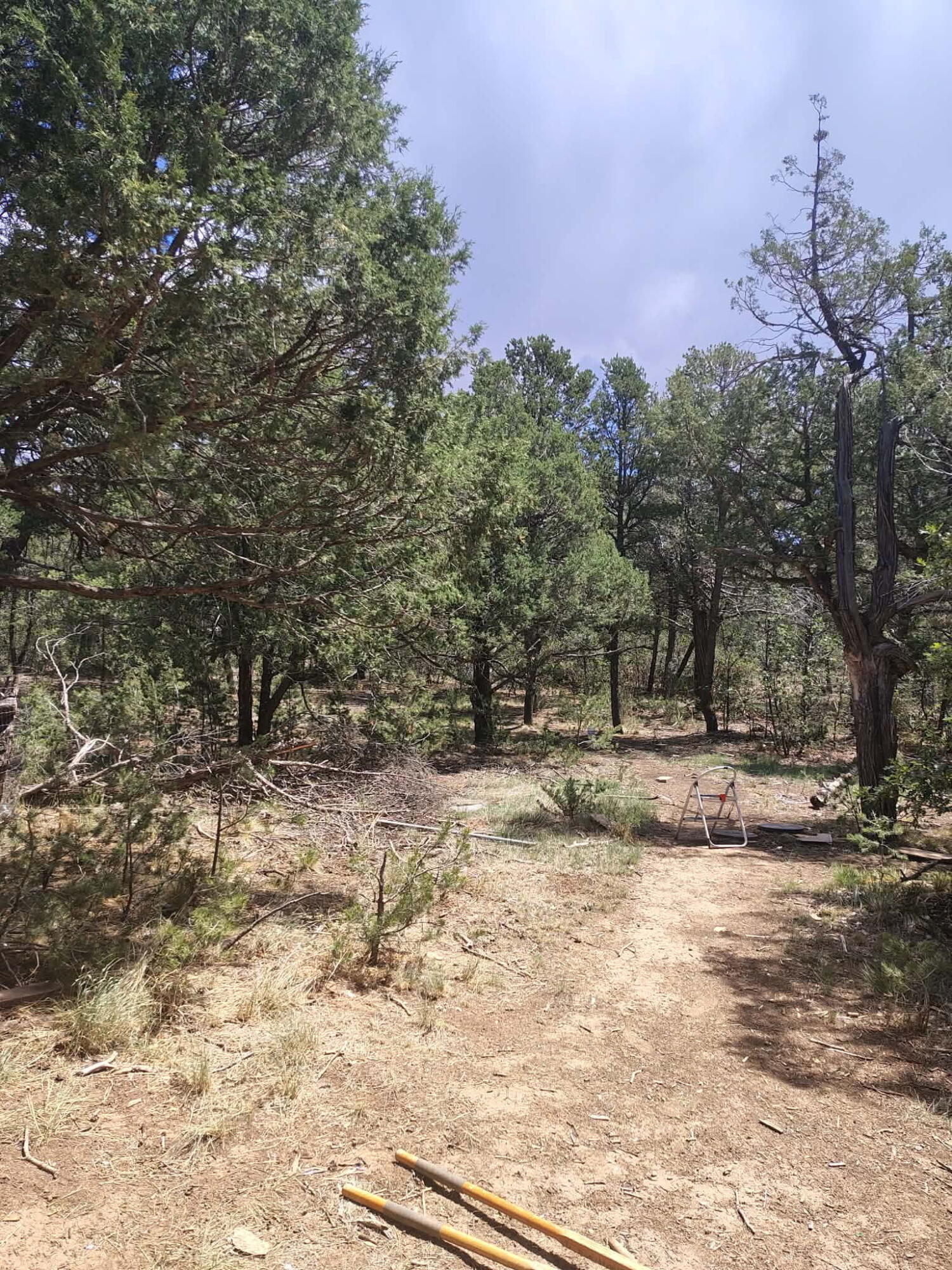 12 Quail Hollow Road, Tijeras, NM 87059
